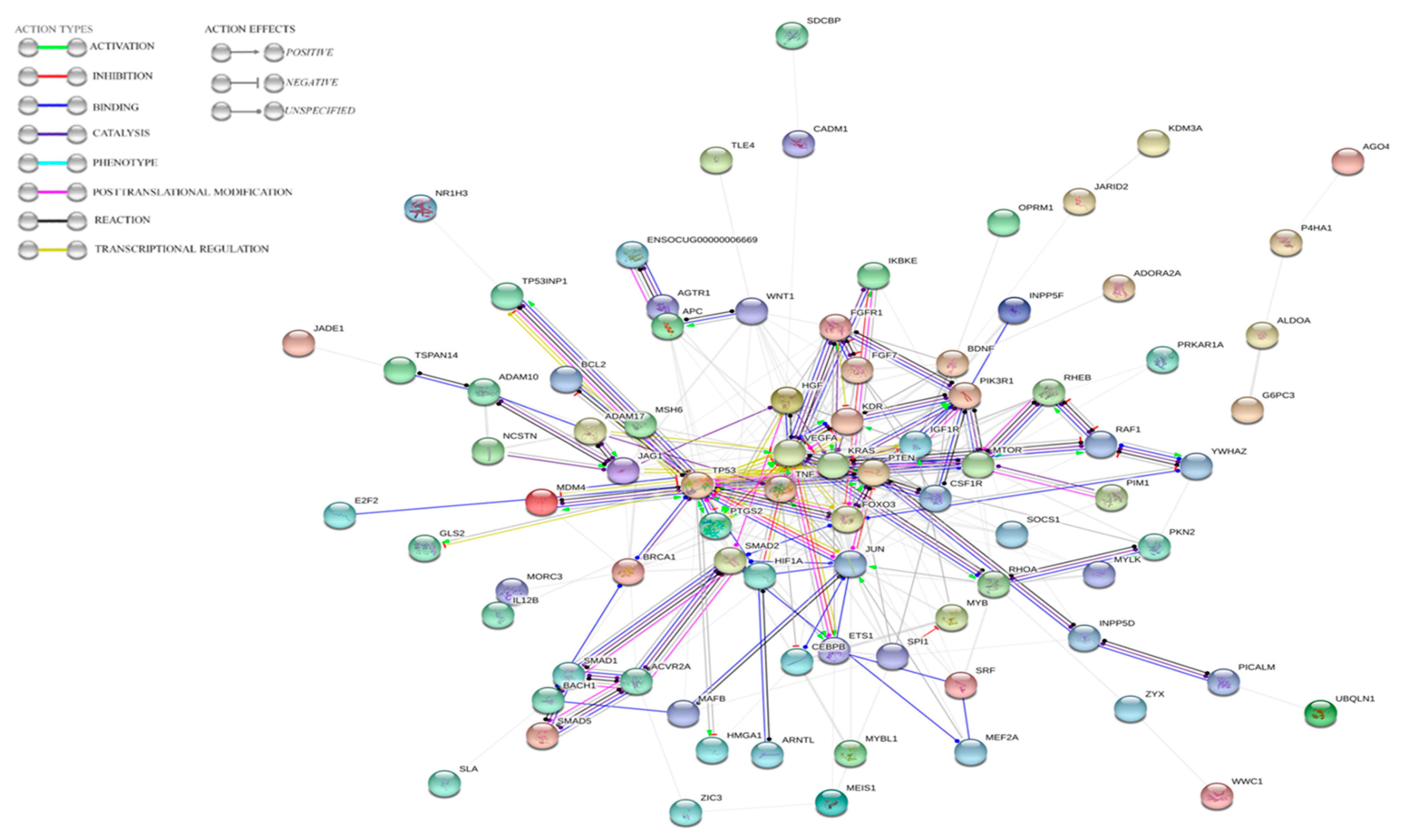 Viruses 12 00965 g005 Viruses 12 00965 g005