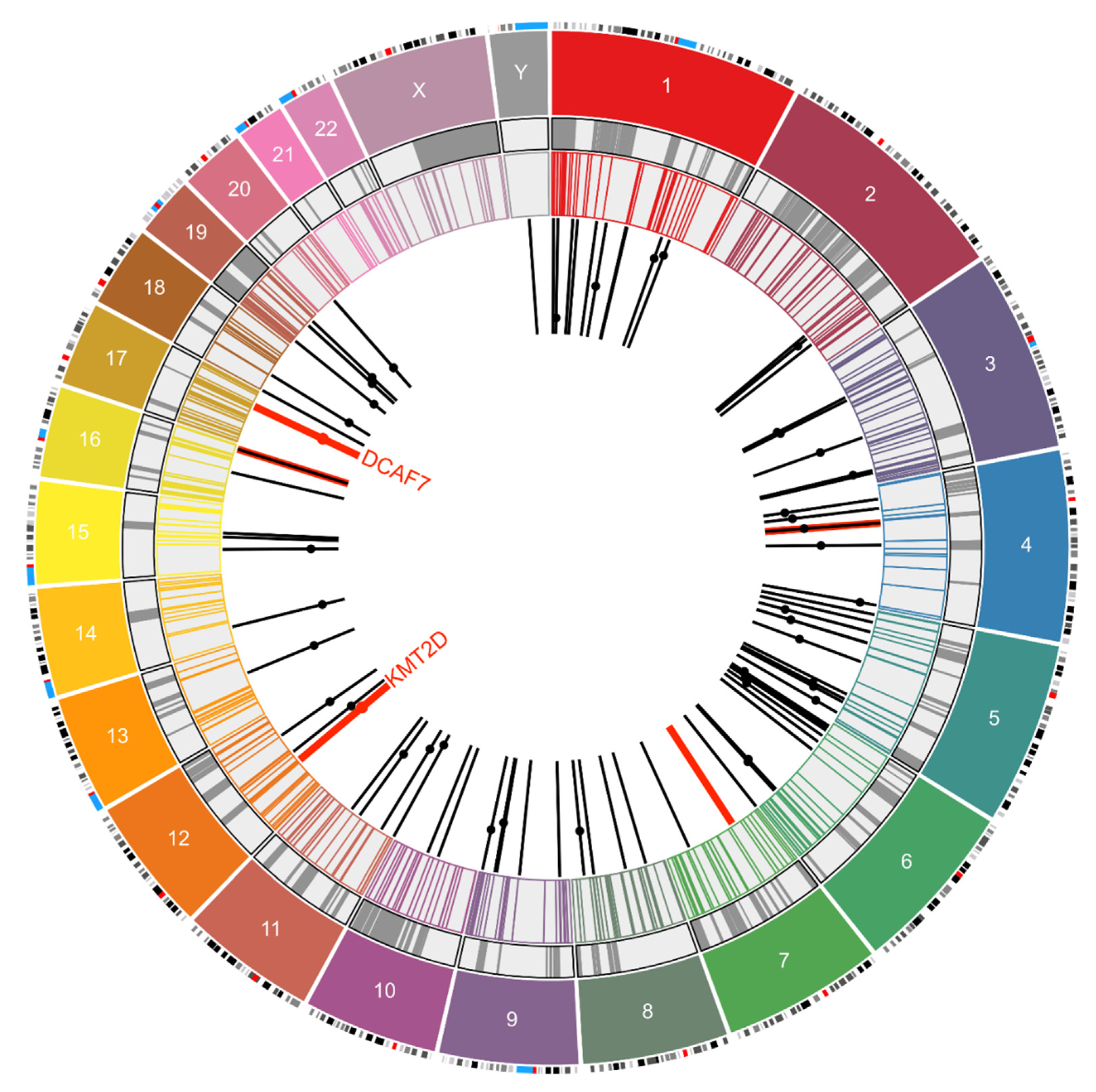 Viruses 12 00966 g002