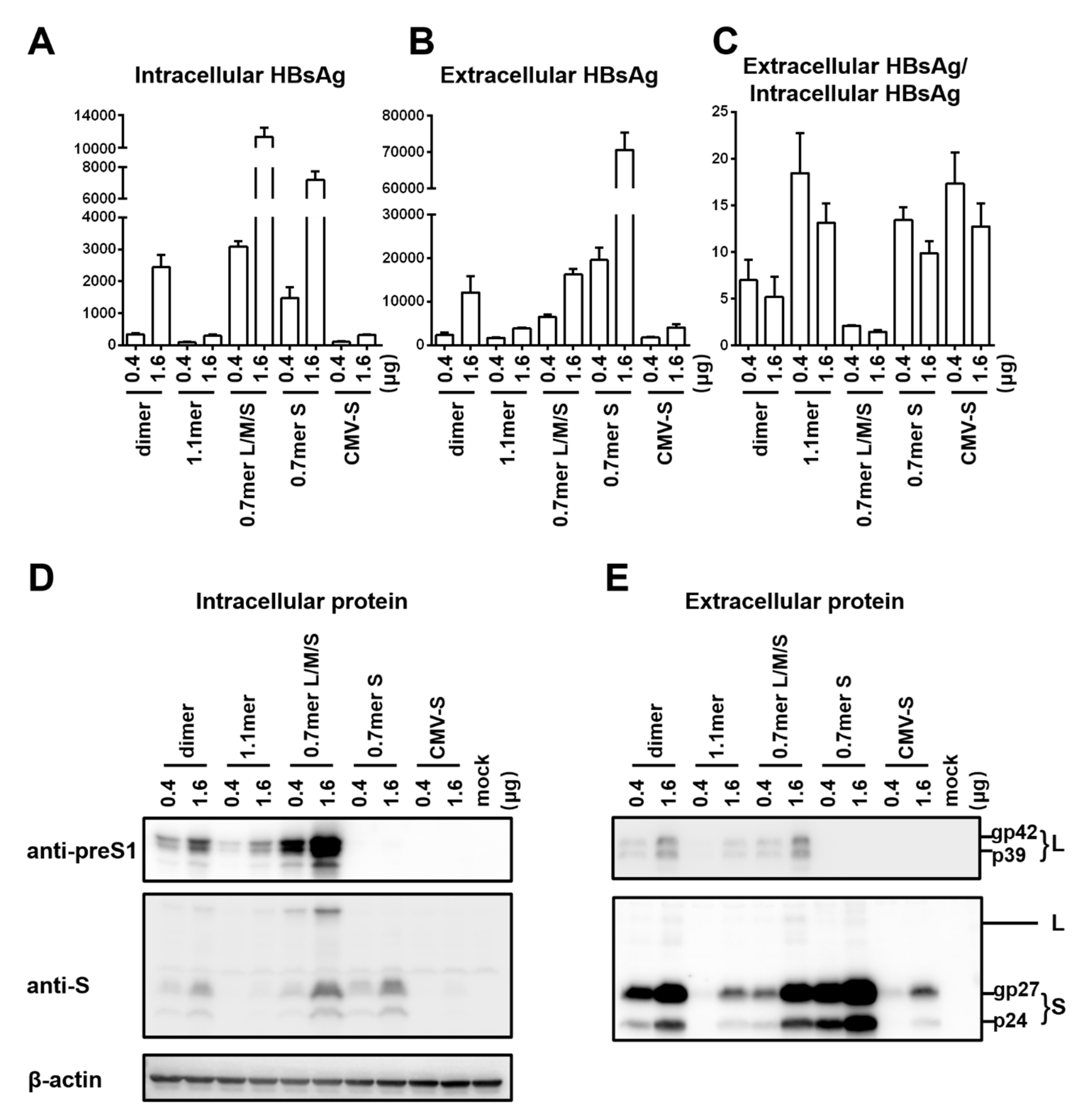 Viruses 12 00967 g003
