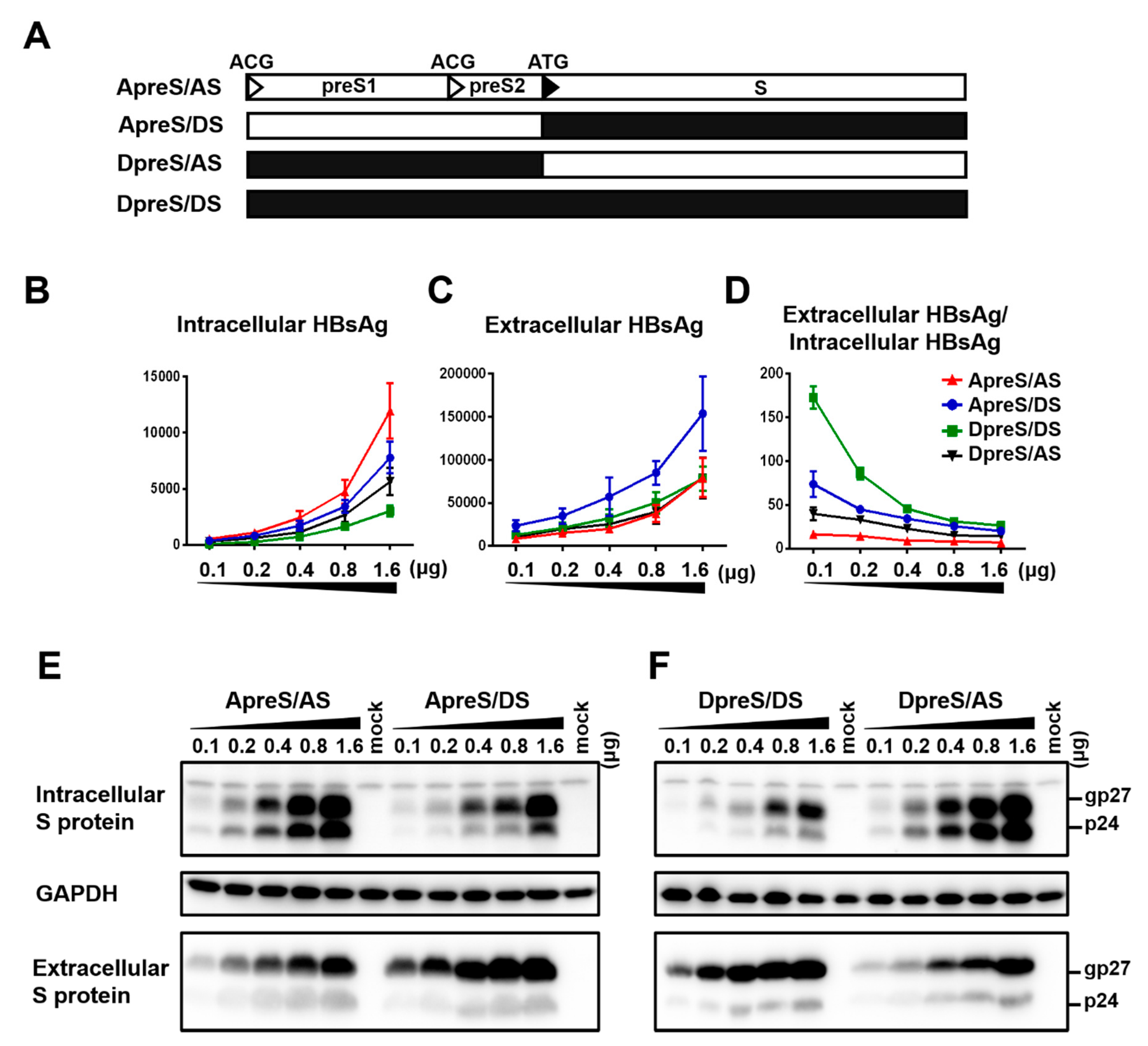 Viruses 12 00967 g006