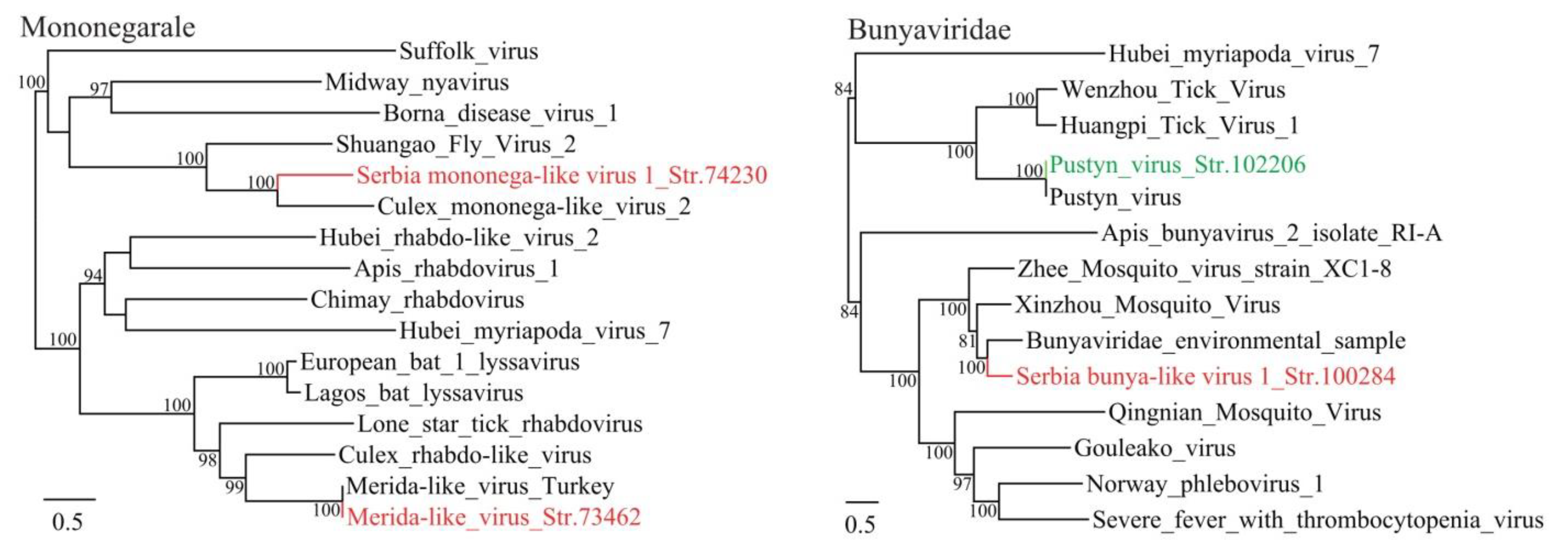 Viruses 12 00975 g001