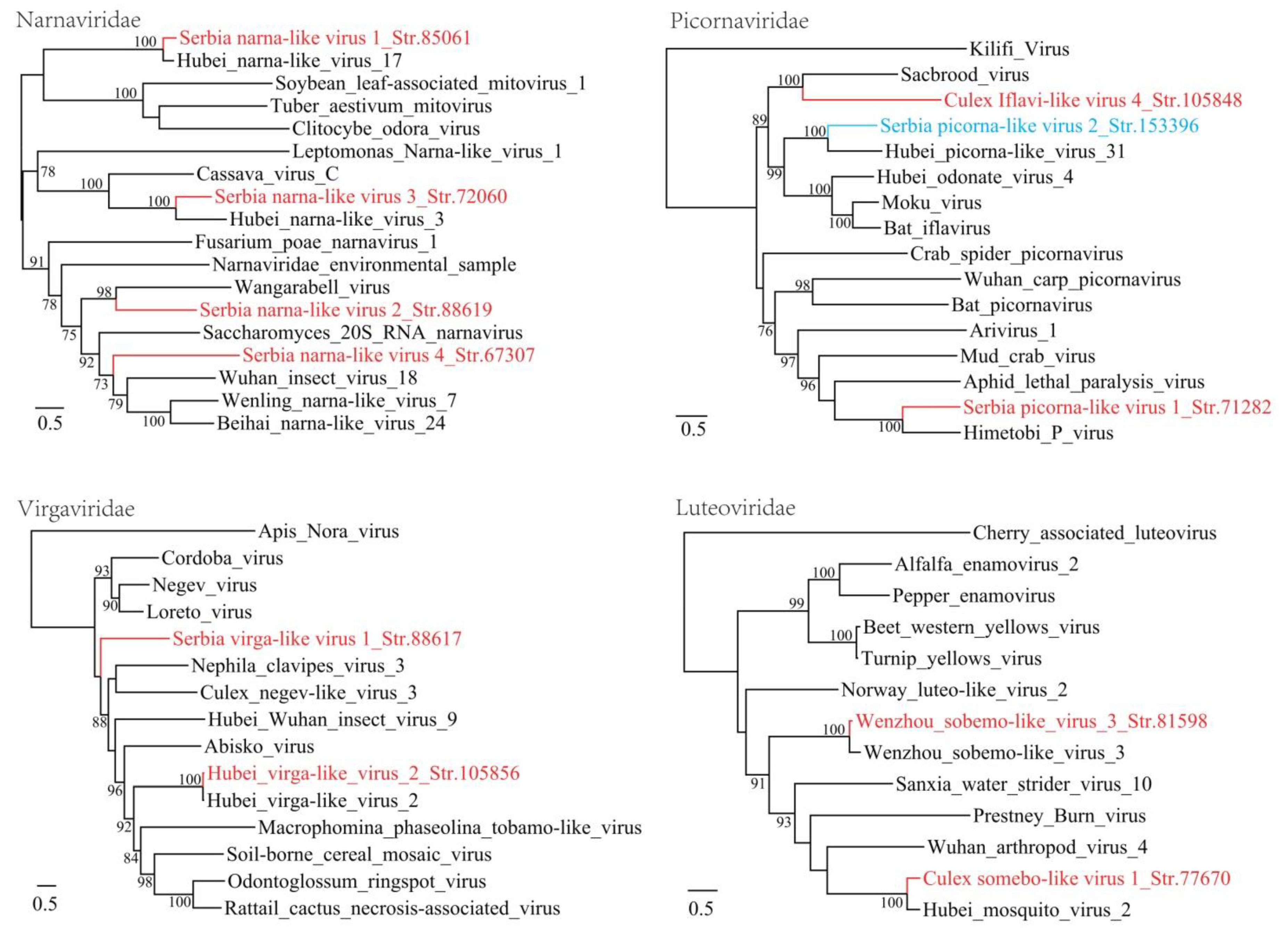 Viruses 12 00975 g002
