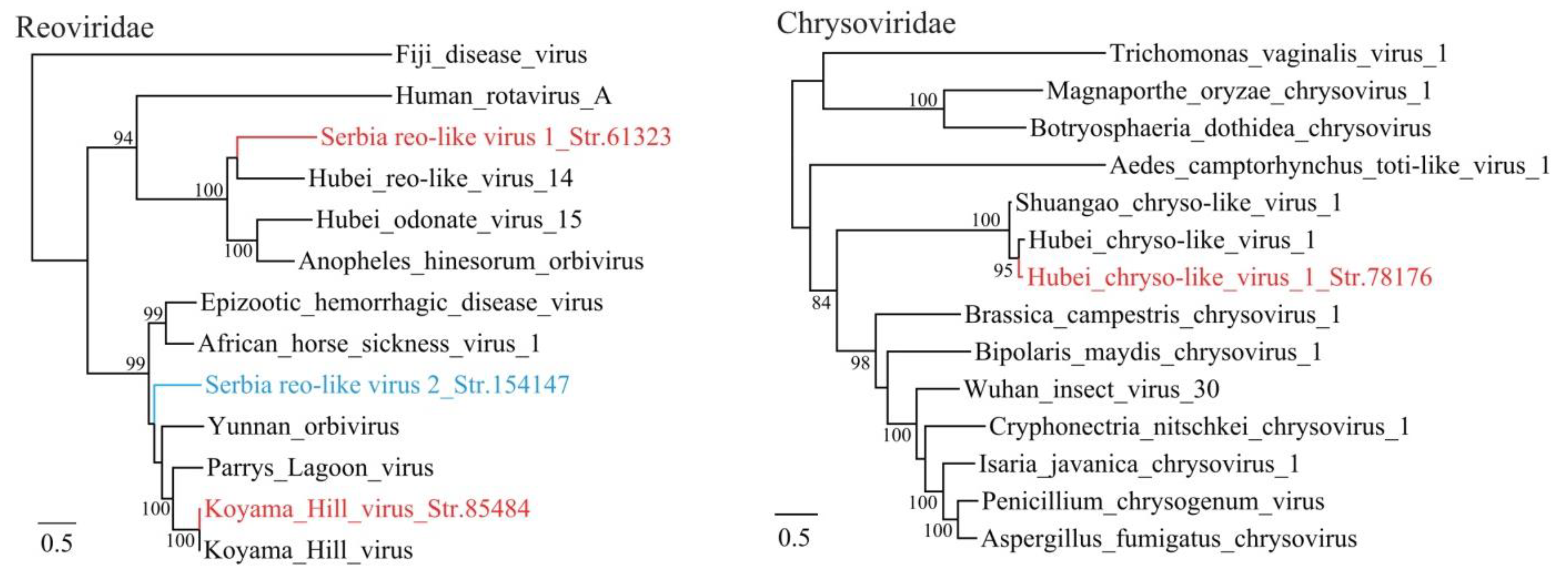 Viruses 12 00975 g003