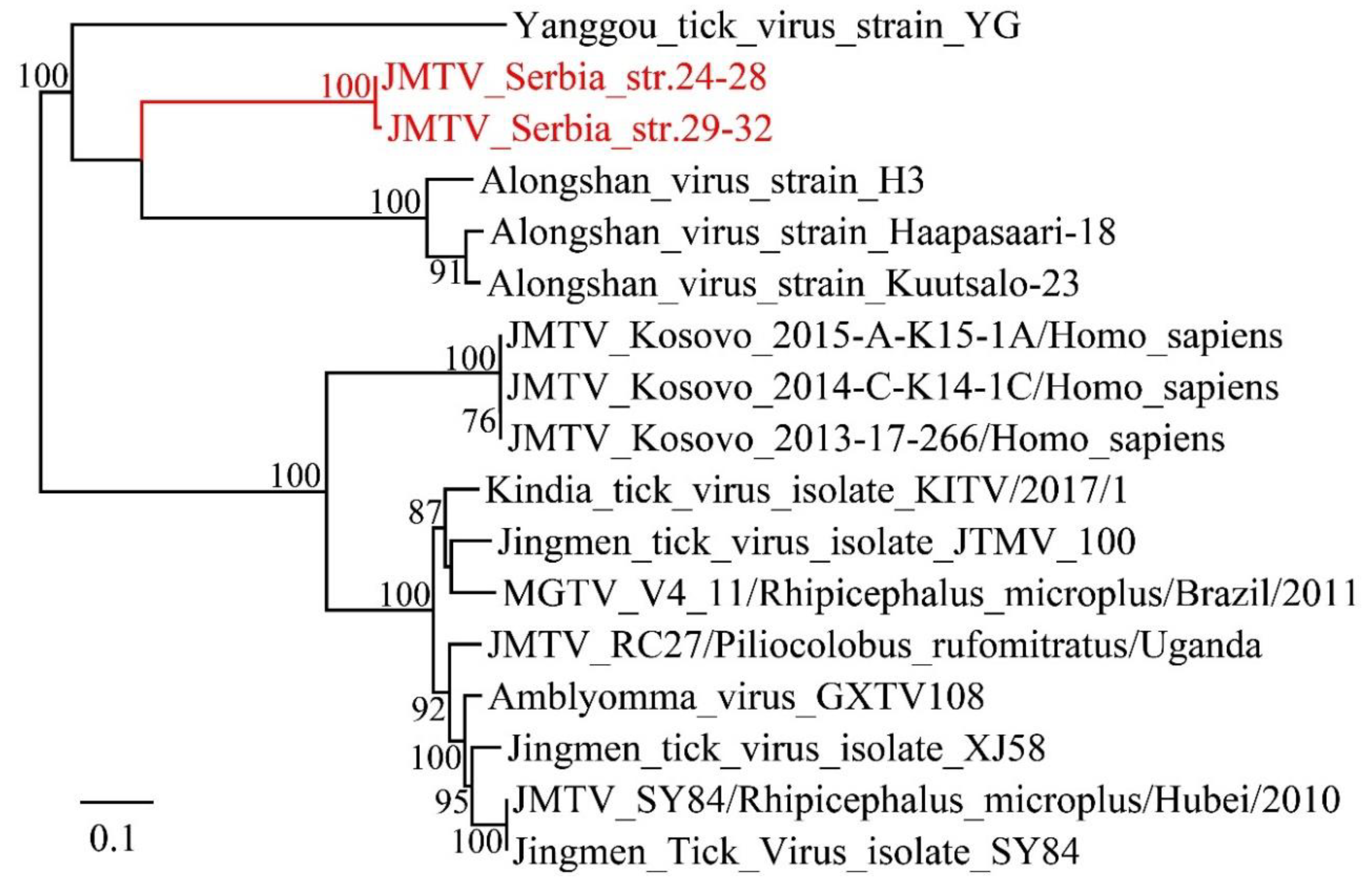 Viruses 12 00975 g004