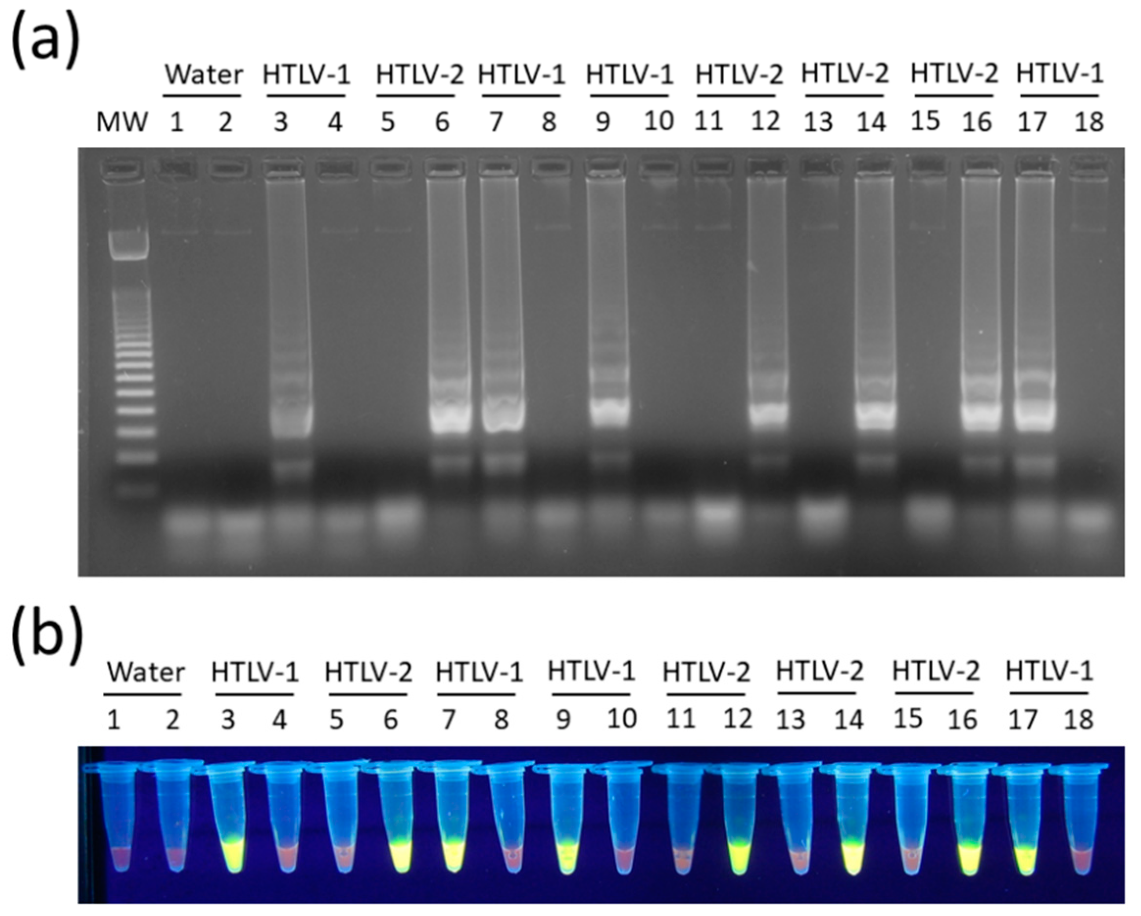 Viruses 12 00981 g004 Viruses 12 00981 g004