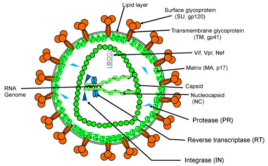 Hiv Infection - Talley Wiring Diagram Tm 1051dgu Hiv Infection - Talley Wiring Diagram Tm 1051dgu