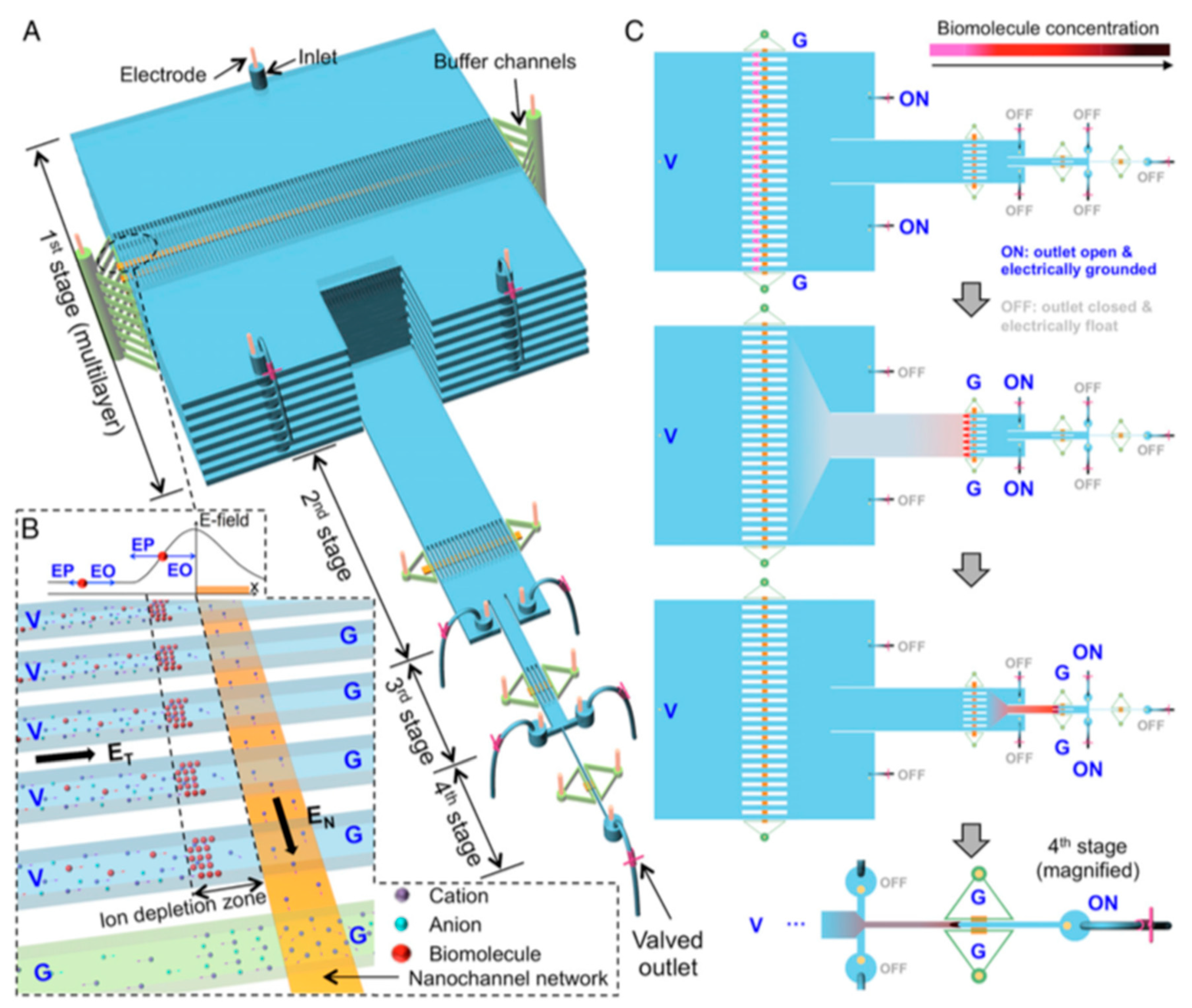 Viruses 12 00982 g004 Viruses 12 00982 g004
