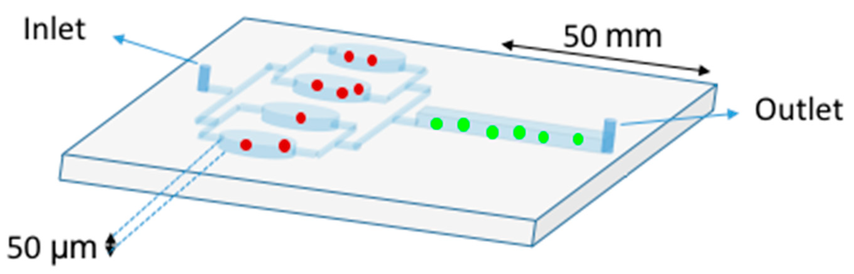 Viruses 12 00982 g006 Viruses 12 00982 g006