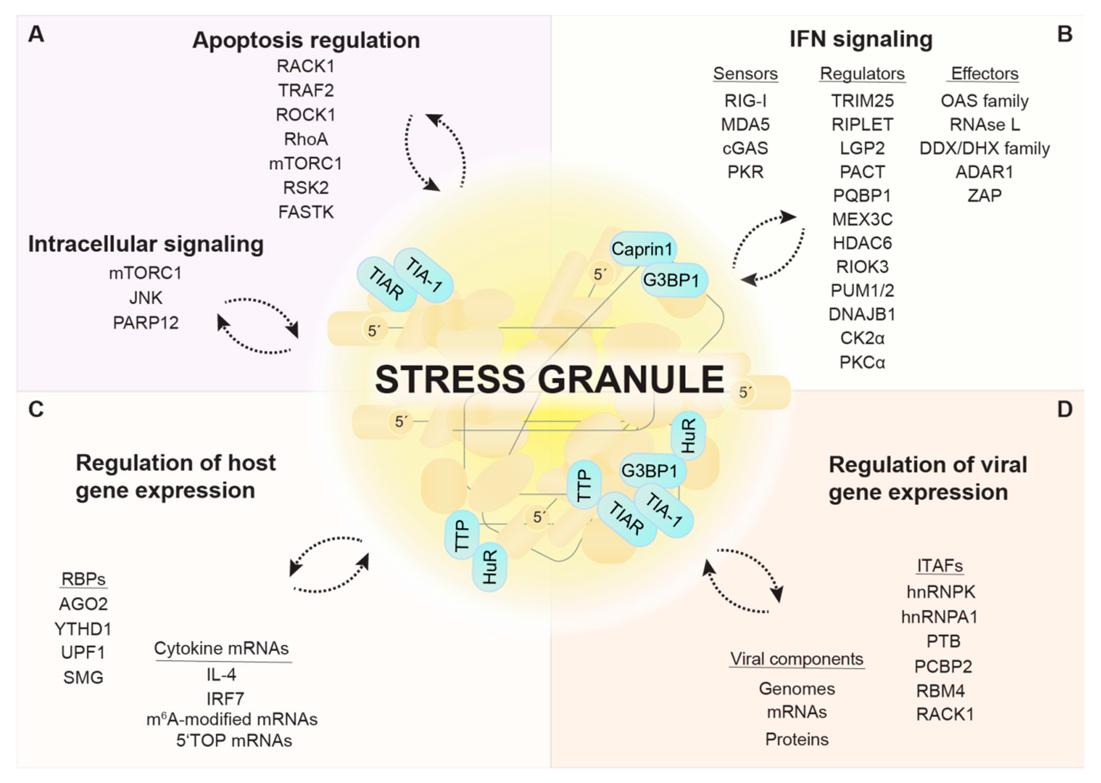 Viruses 12 00984 g002