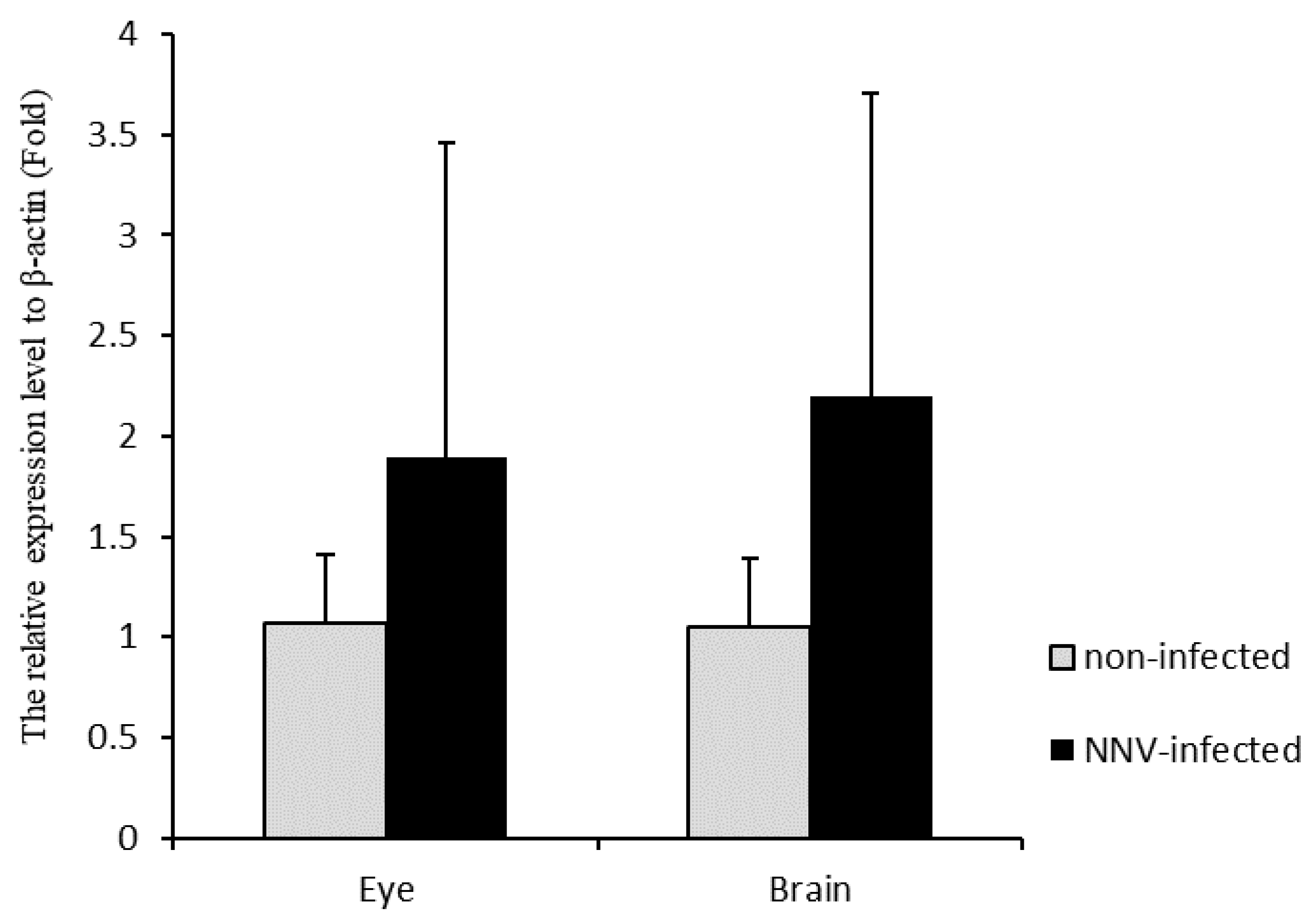 Viruses 12 00985 g005 Viruses 12 00985 g005