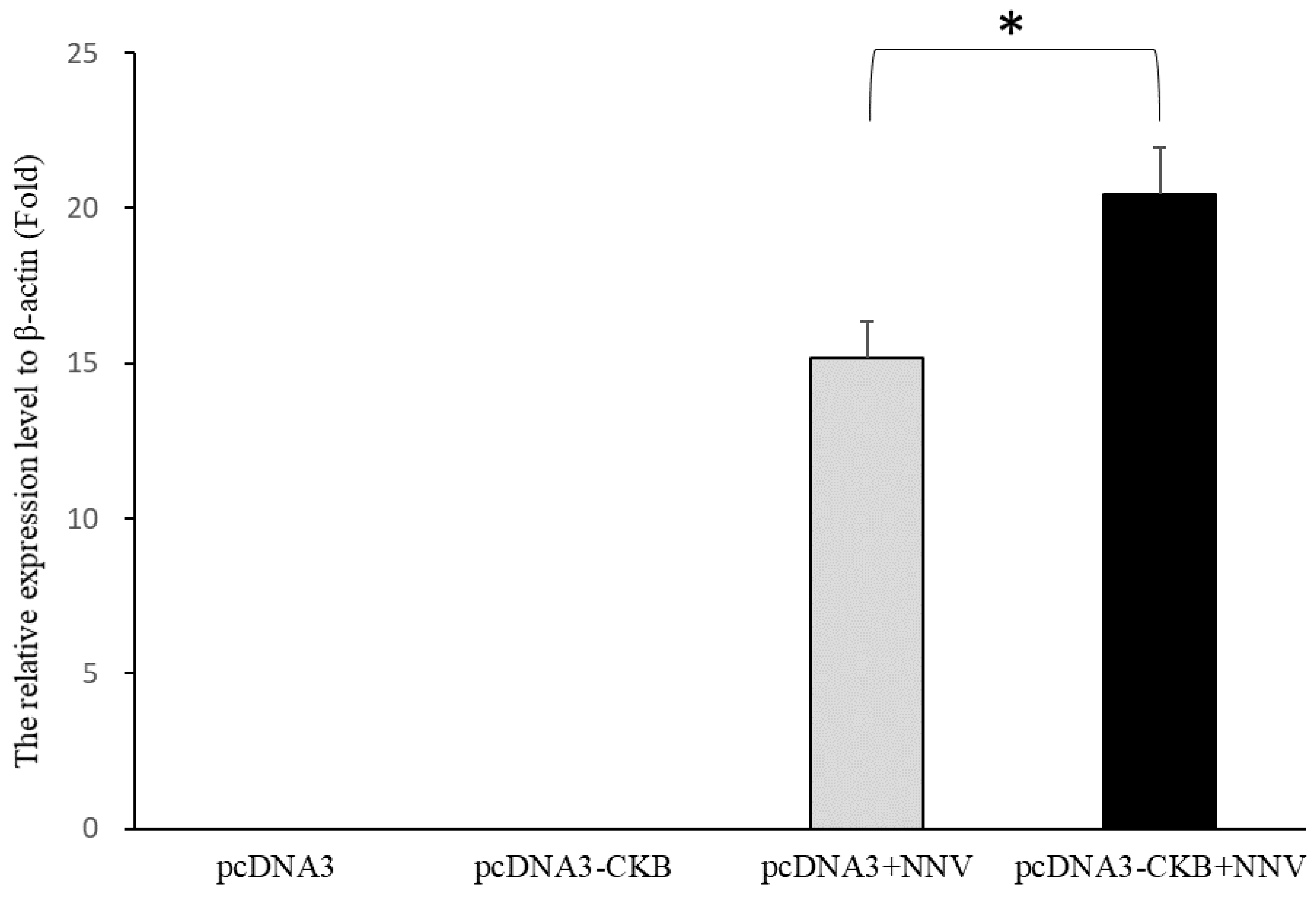 Viruses 12 00985 g006 Viruses 12 00985 g006