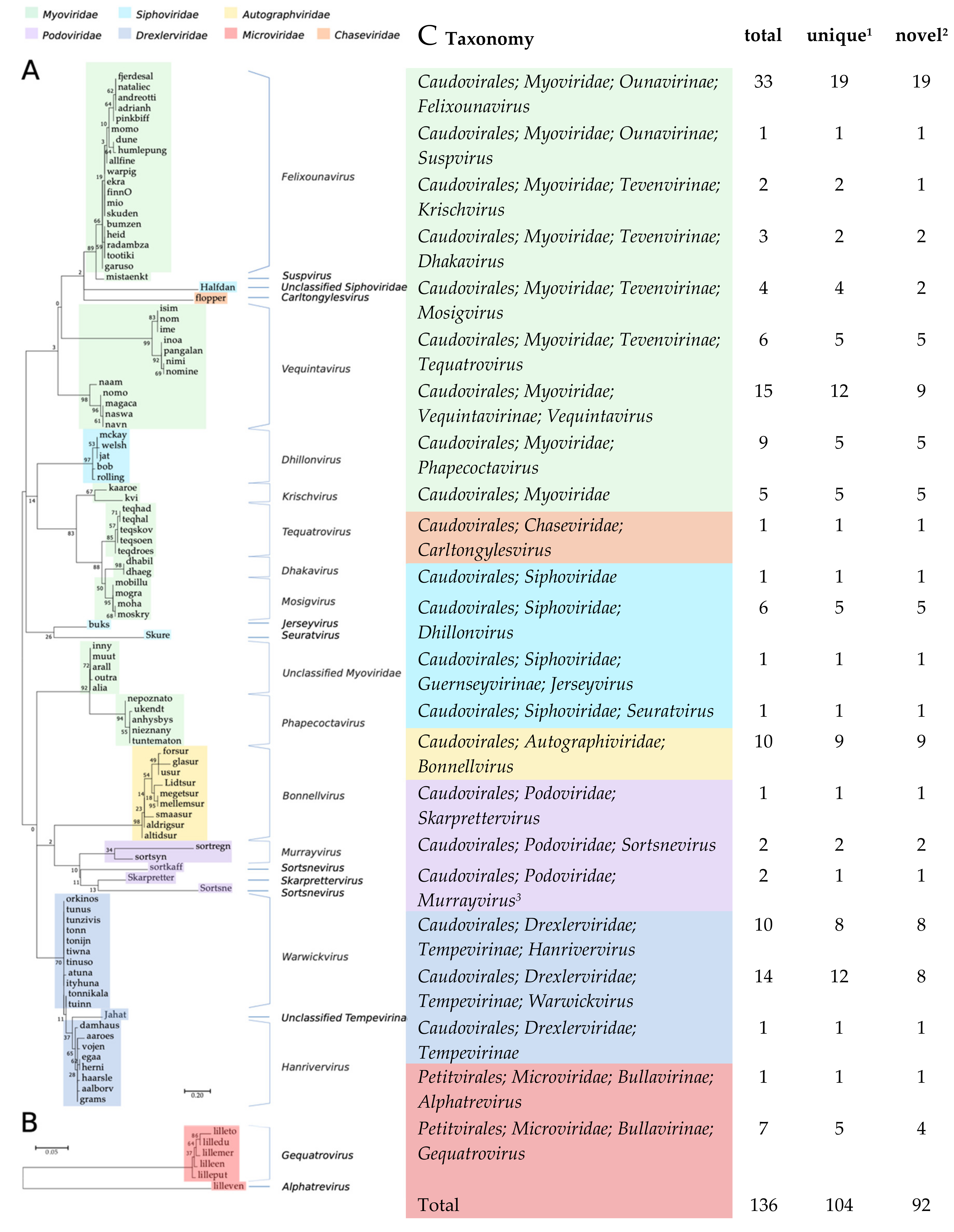 Viruses 12 00986 g001 Viruses 12 00986 g001