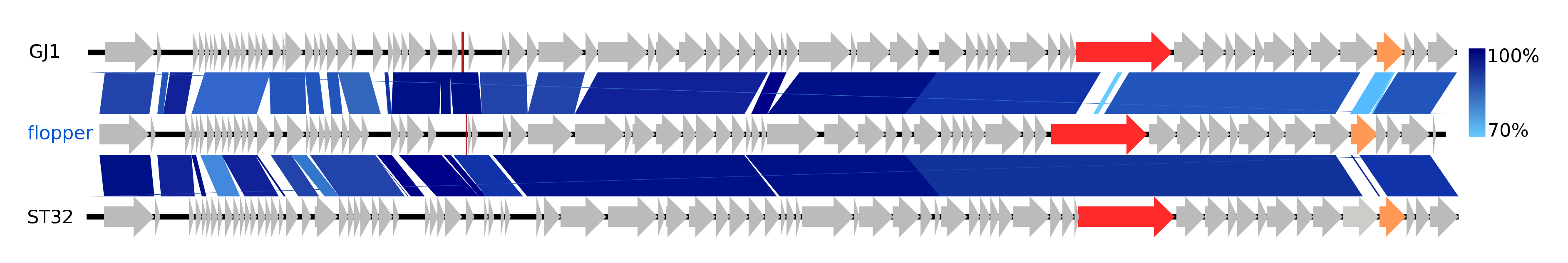 Viruses 12 00986 g004 Viruses 12 00986 g004