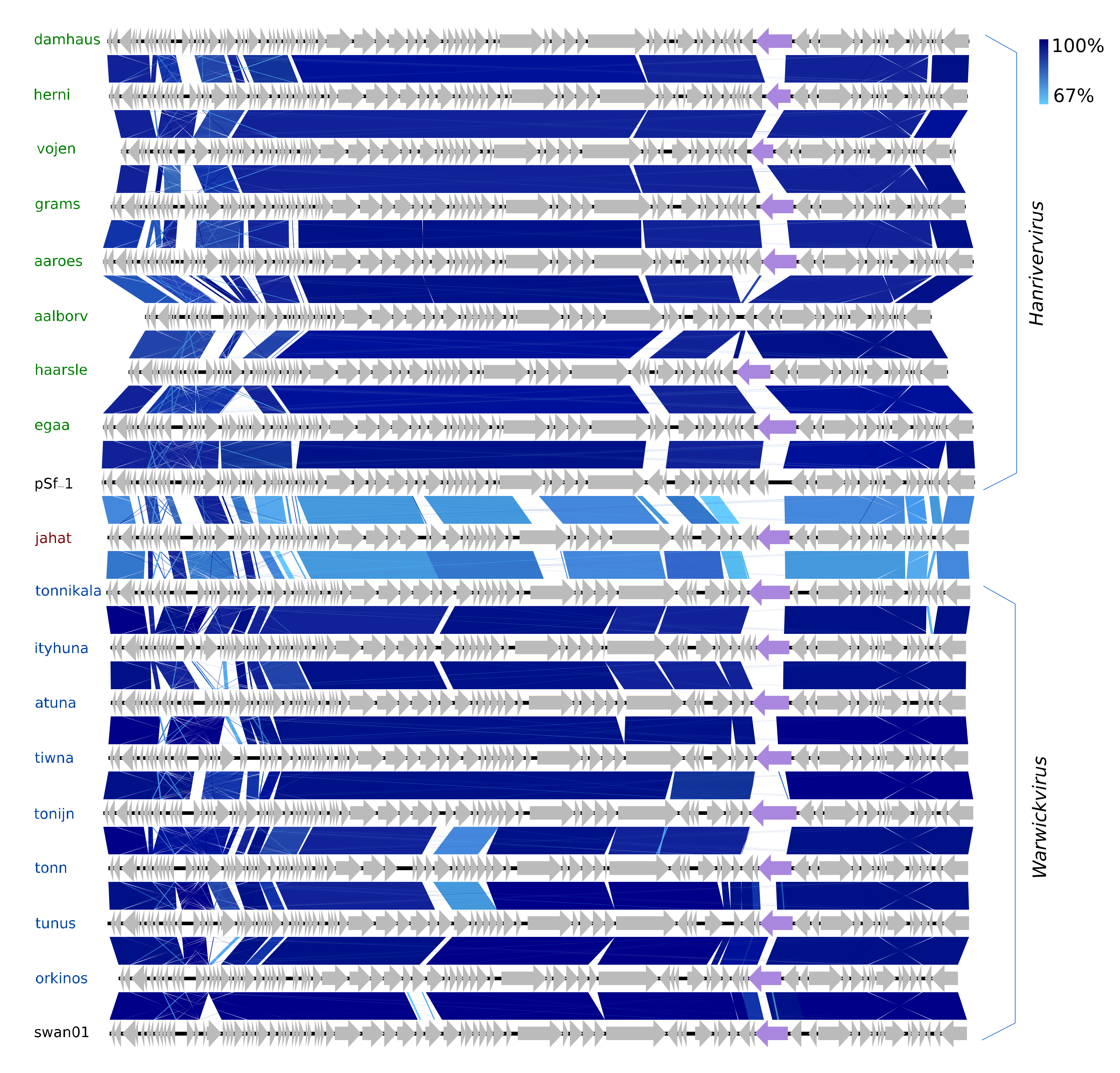 Viruses 12 00986 g005 Viruses 12 00986 g005