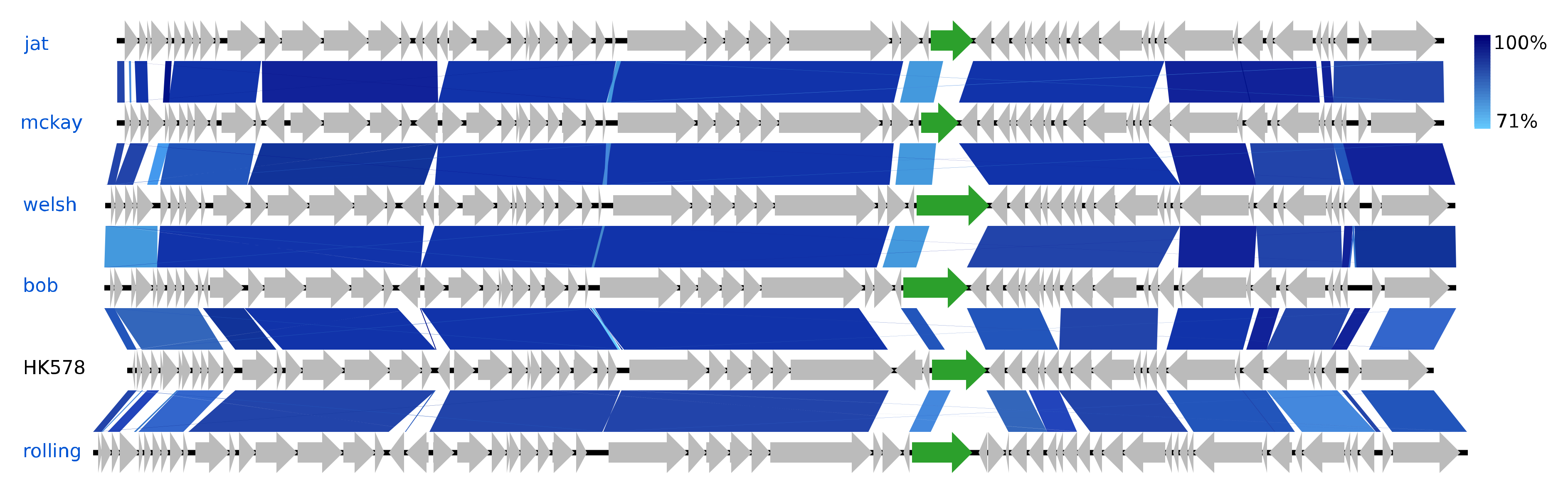 Viruses 12 00986 g006 Viruses 12 00986 g006