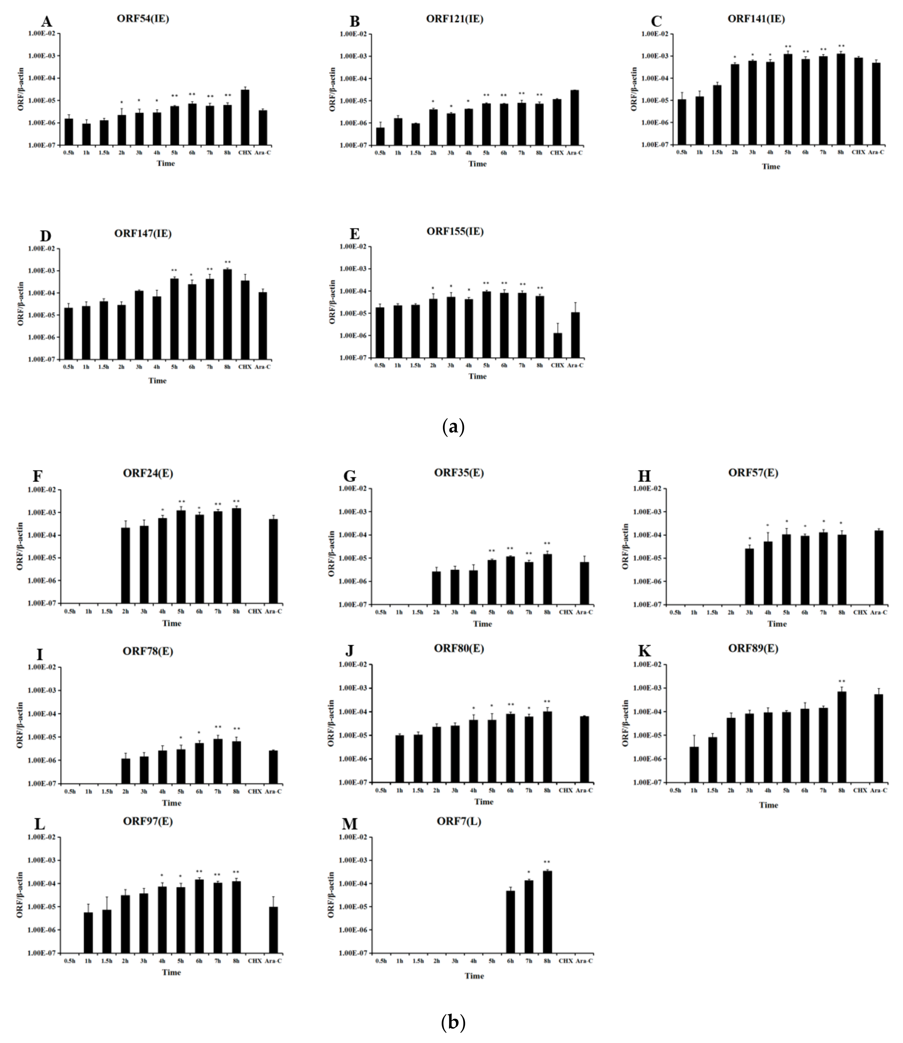 Viruses 12 00994 g009