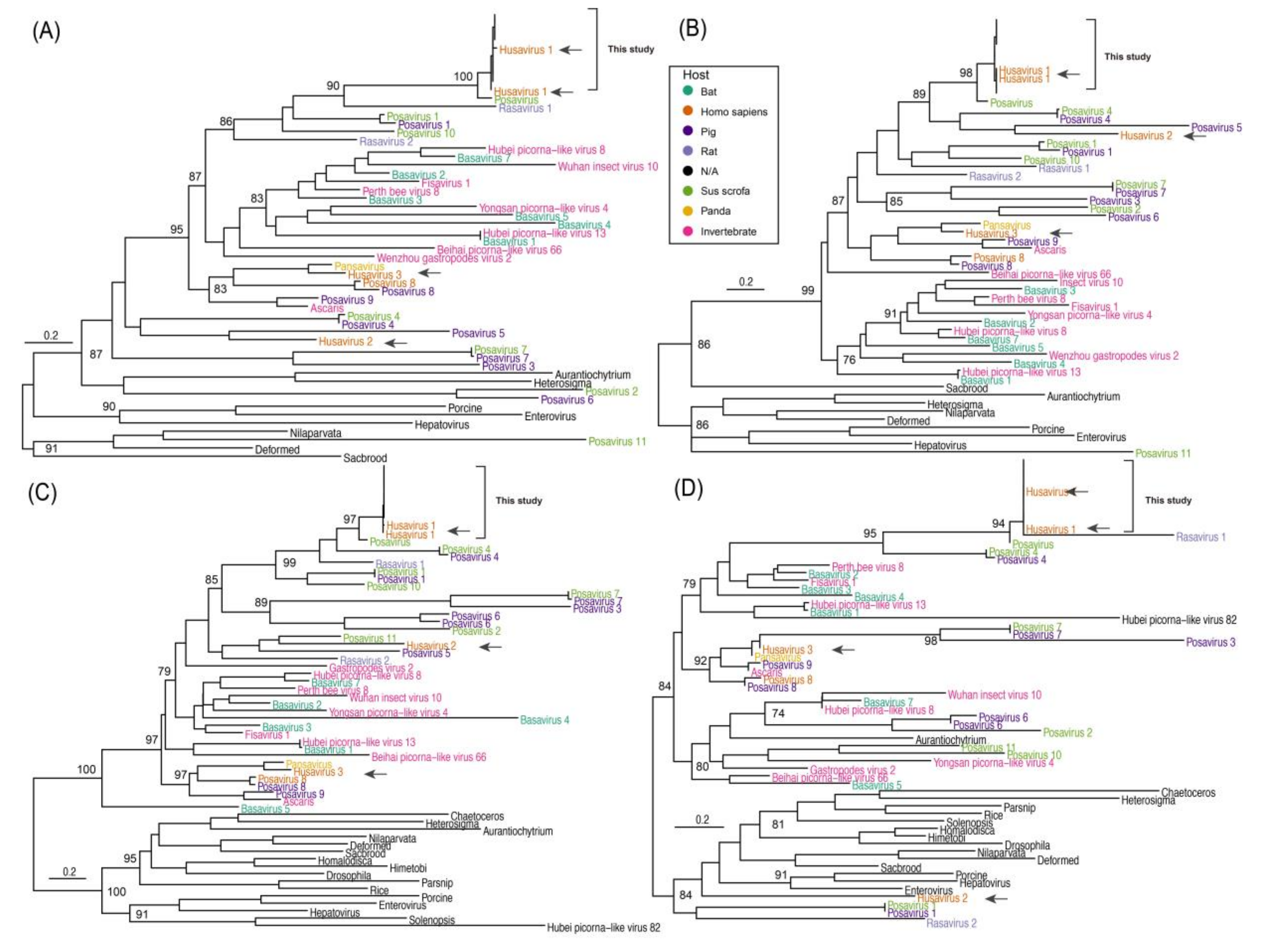 Viruses 12 00995 g001 Viruses 12 00995 g001