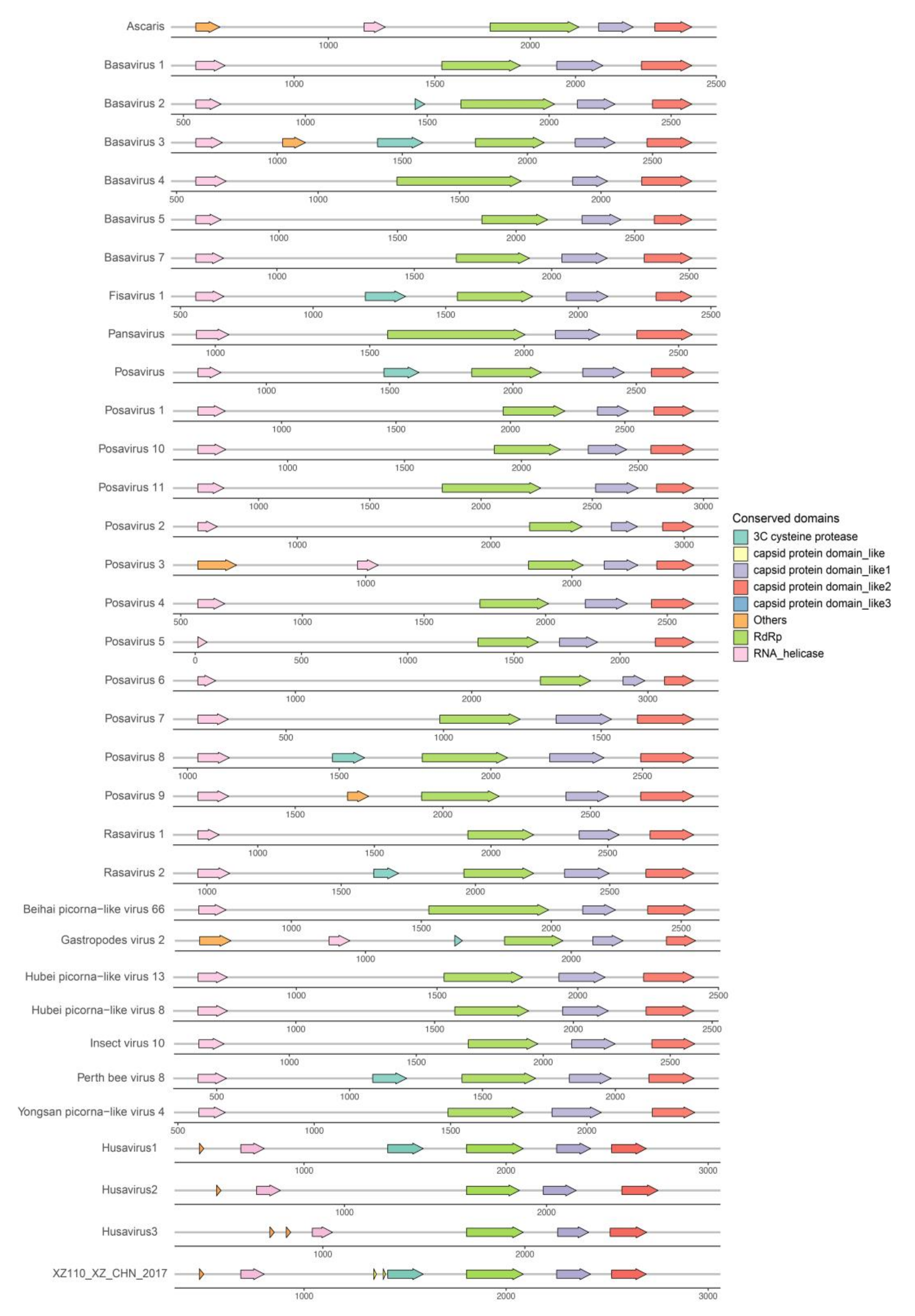 Viruses 12 00995 g003 Viruses 12 00995 g003