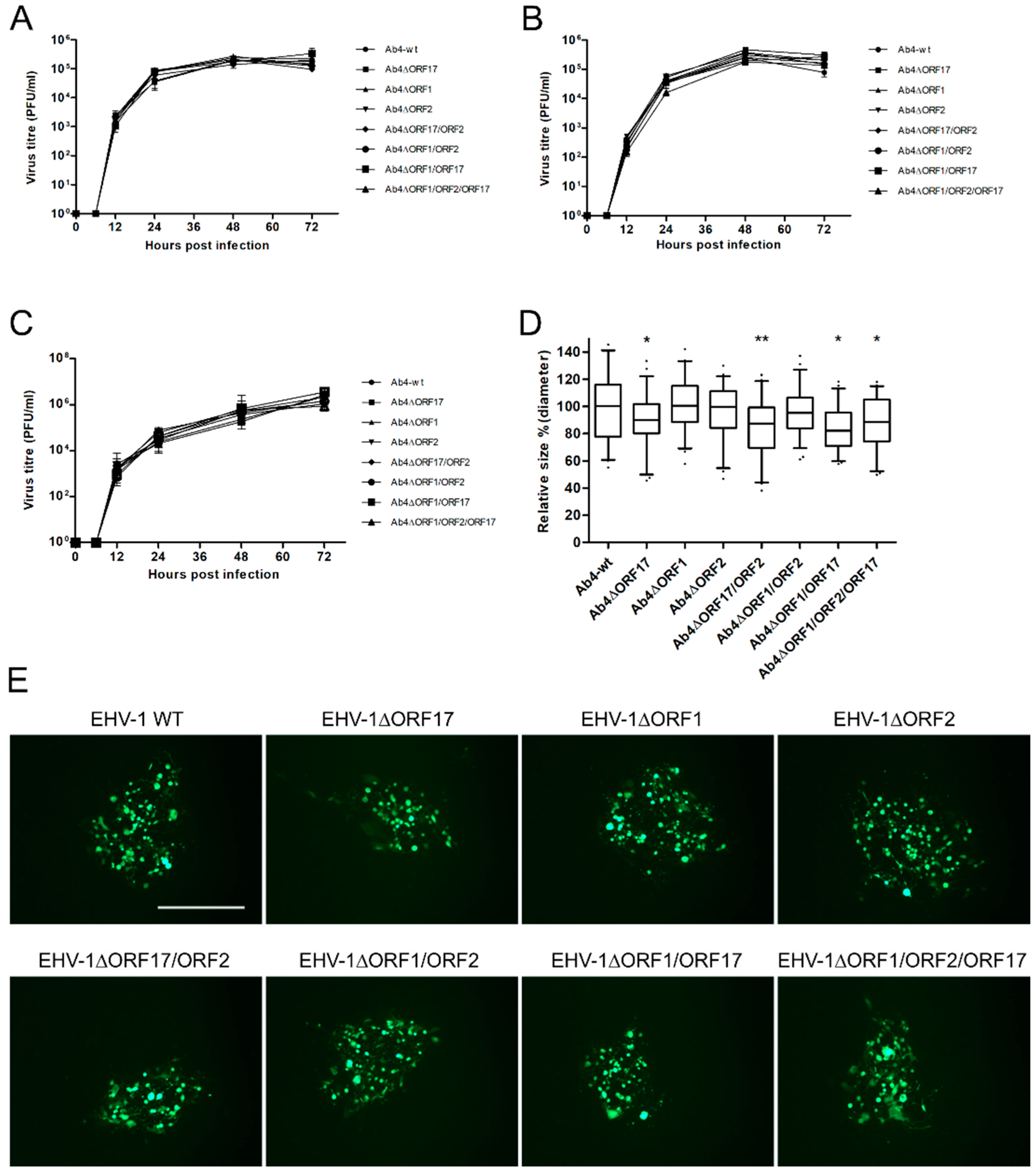 Viruses 12 00999 g002 Viruses 12 00999 g002