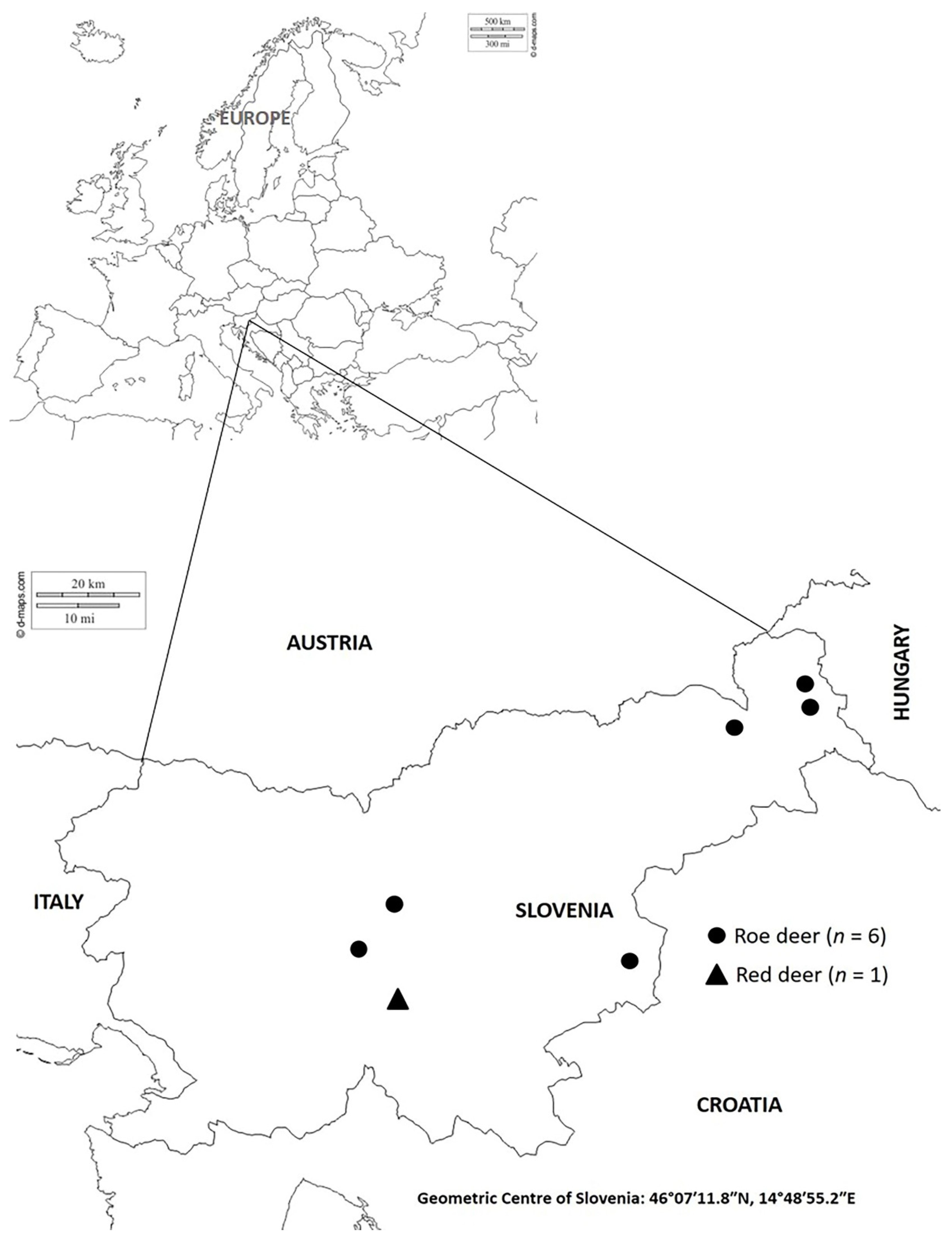 Viruses 12 01001 g001
