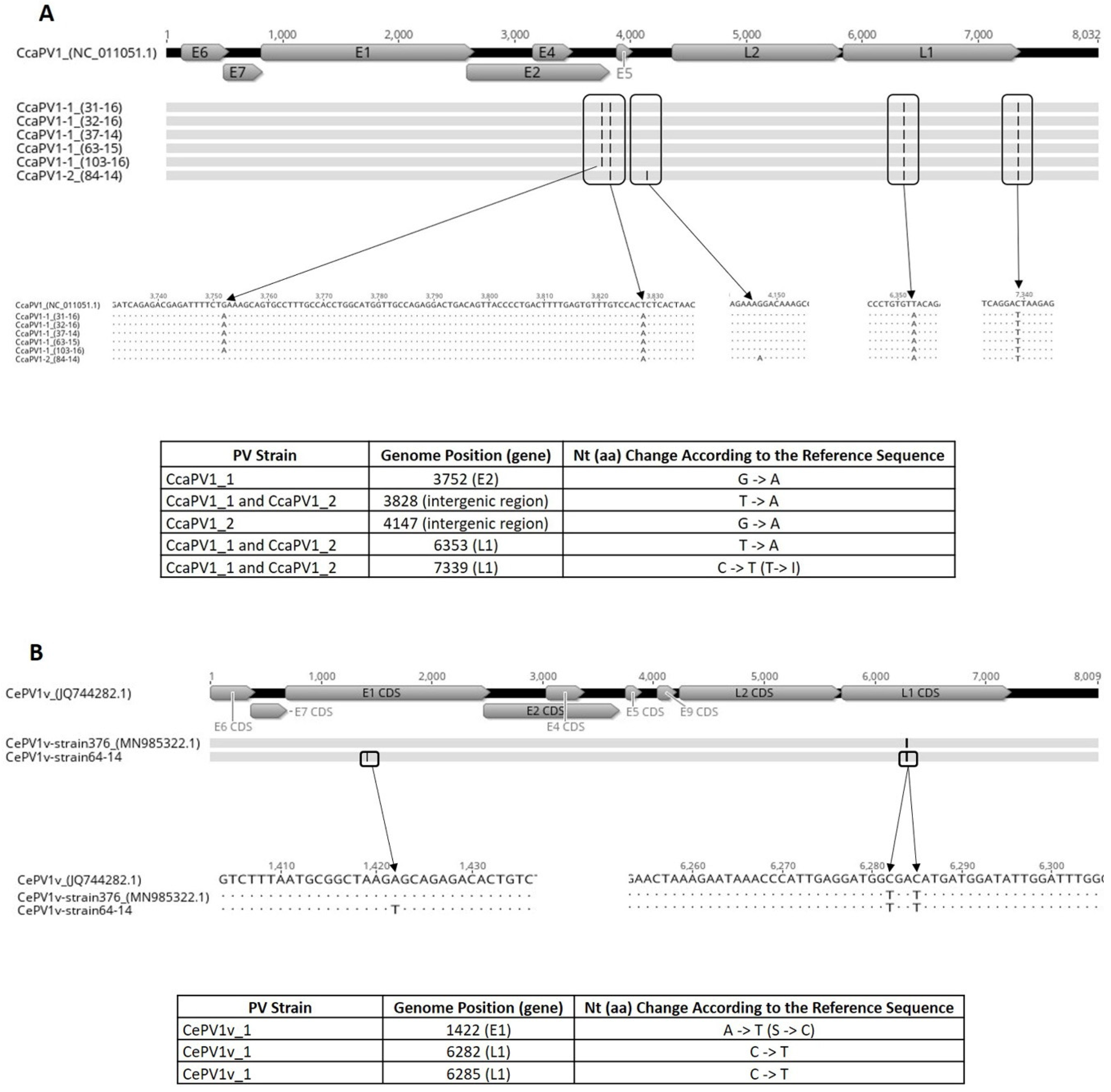 Viruses 12 01001 g003
