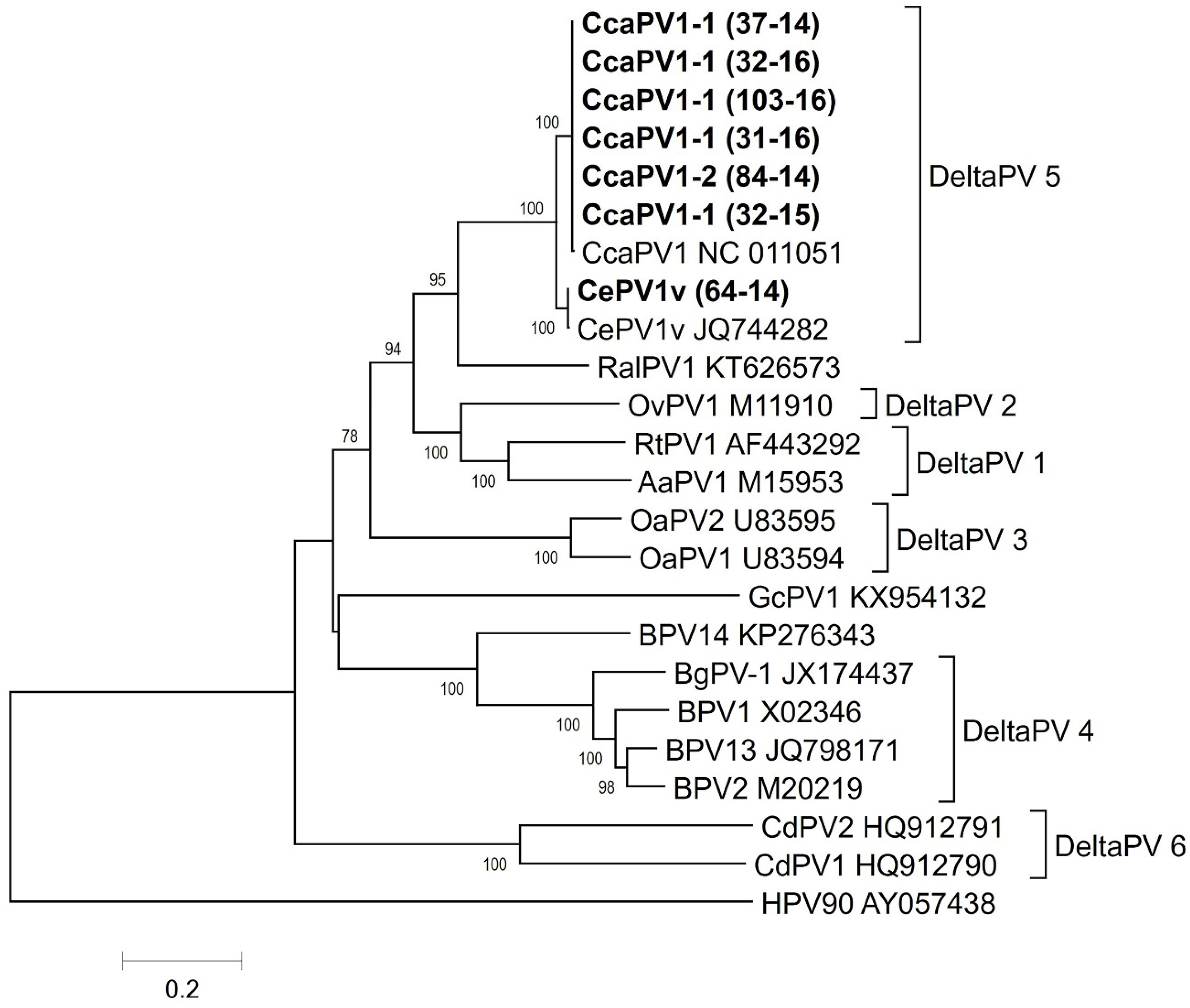 Viruses 12 01001 g004