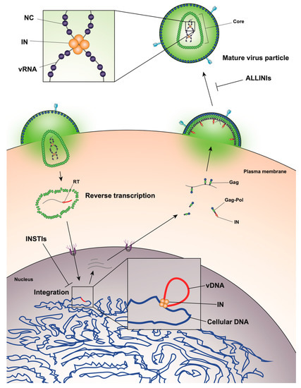 Viruses 12 01005 g001 550