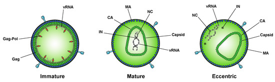 Viruses 12 01005 g003 550