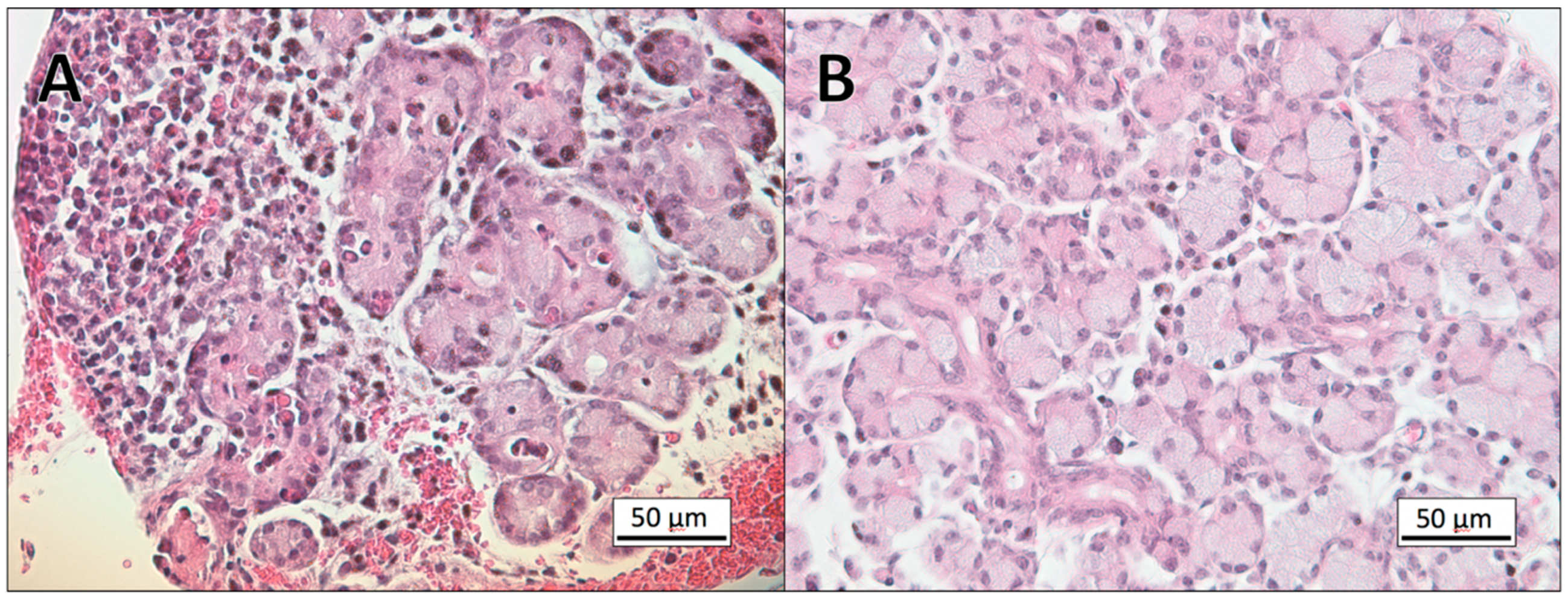 Viruses 12 01007 g003