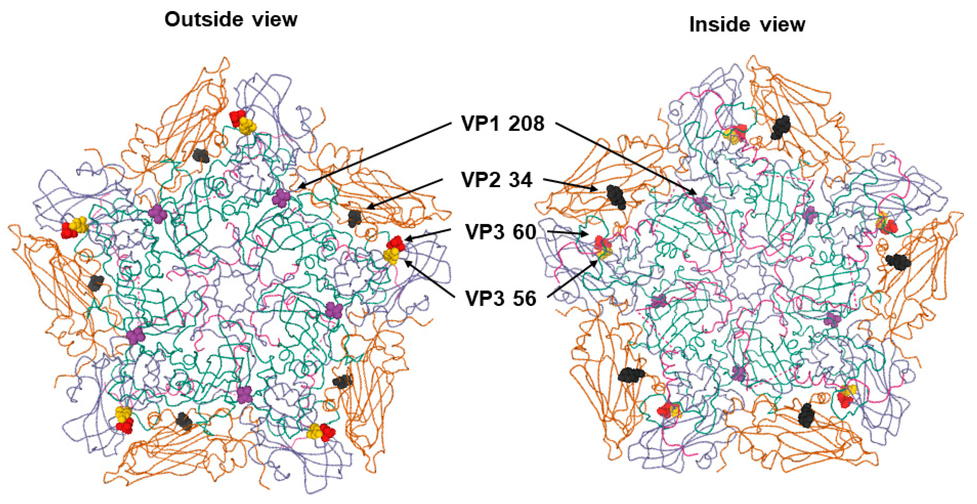 Viruses 12 01012 g002 Viruses 12 01012 g002