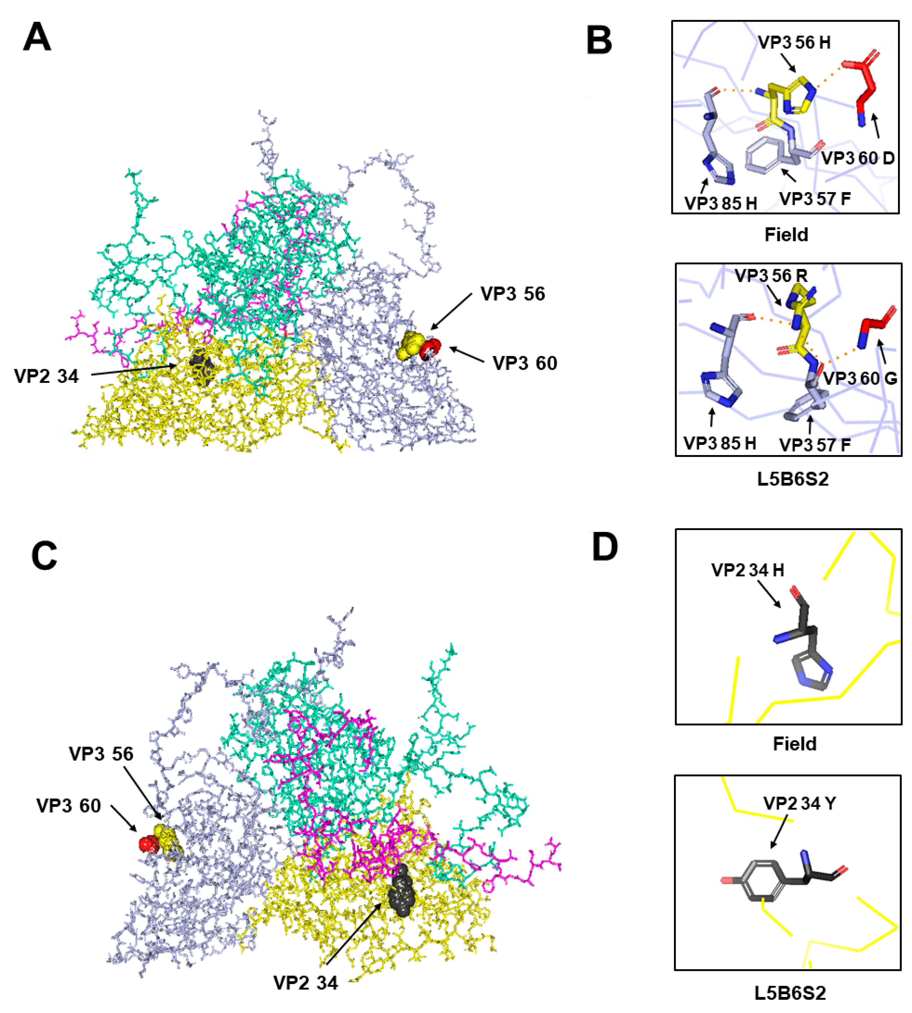 Viruses 12 01012 g003 Viruses 12 01012 g003