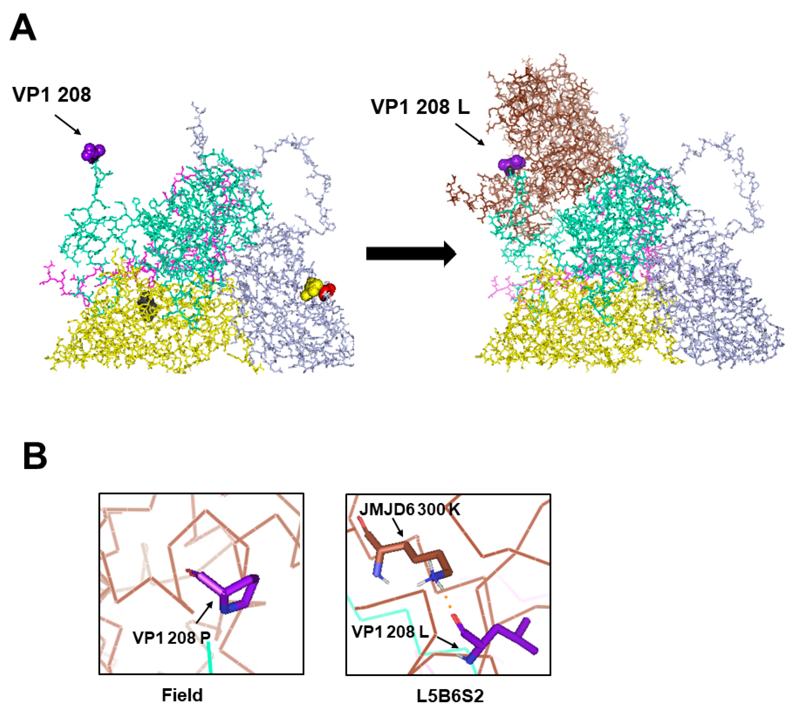 Viruses 12 01012 g004 Viruses 12 01012 g004