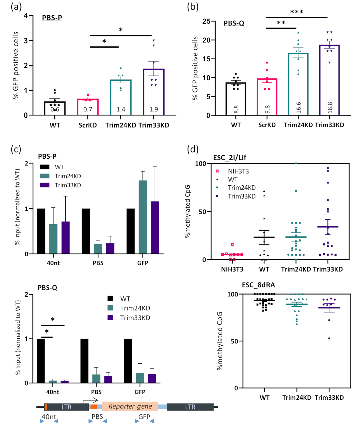 Viruses 12 01015 g004 Viruses 12 01015 g004
