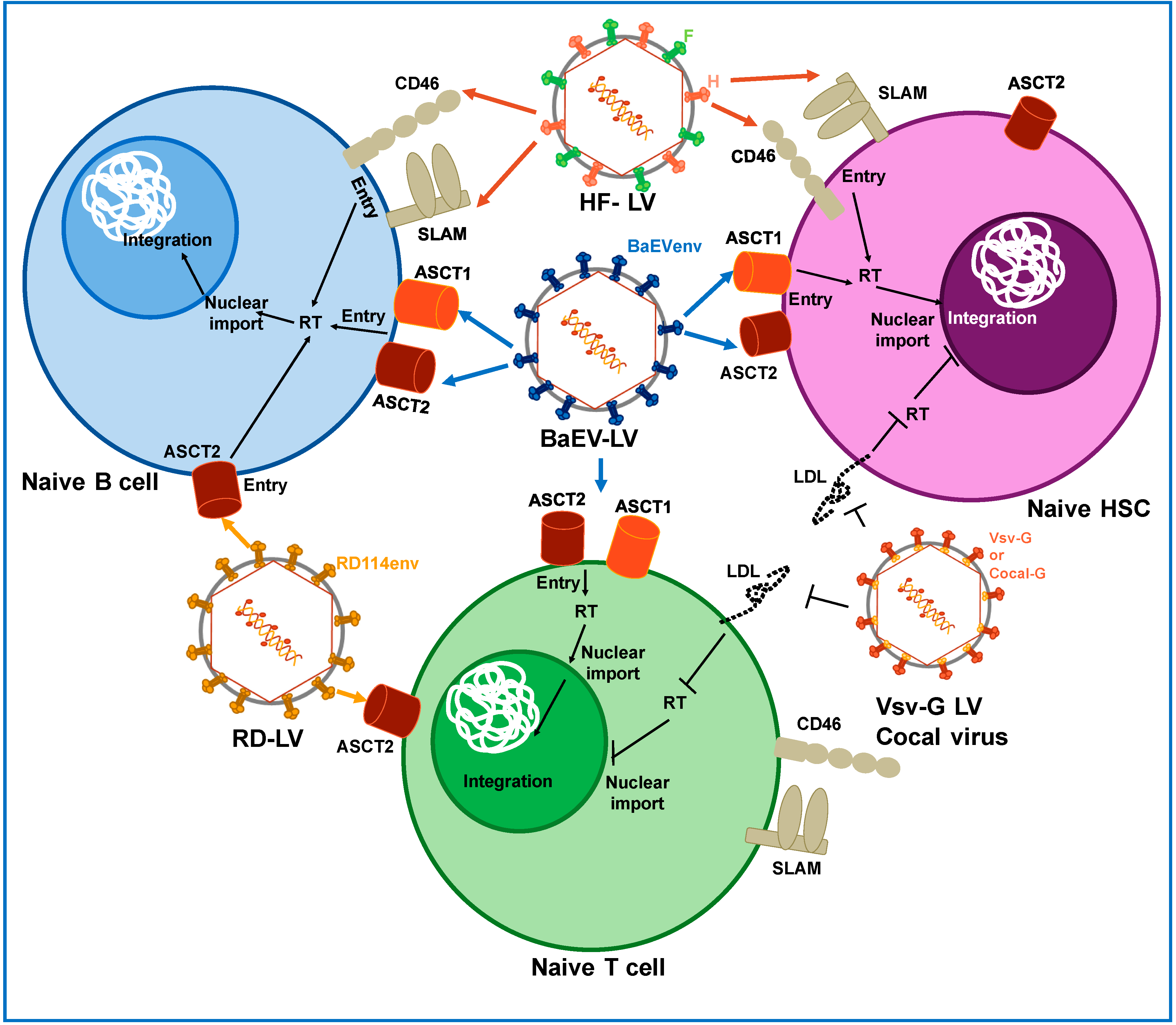 Viruses 12 01016 g002 Viruses 12 01016 g002