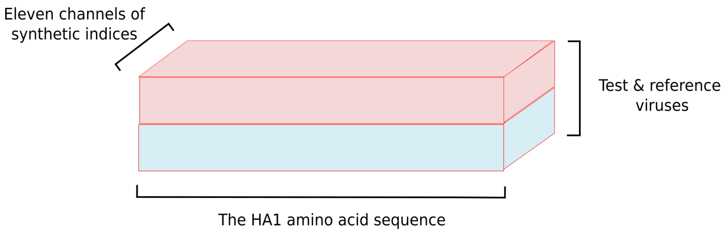 Viruses 12 01019 g005