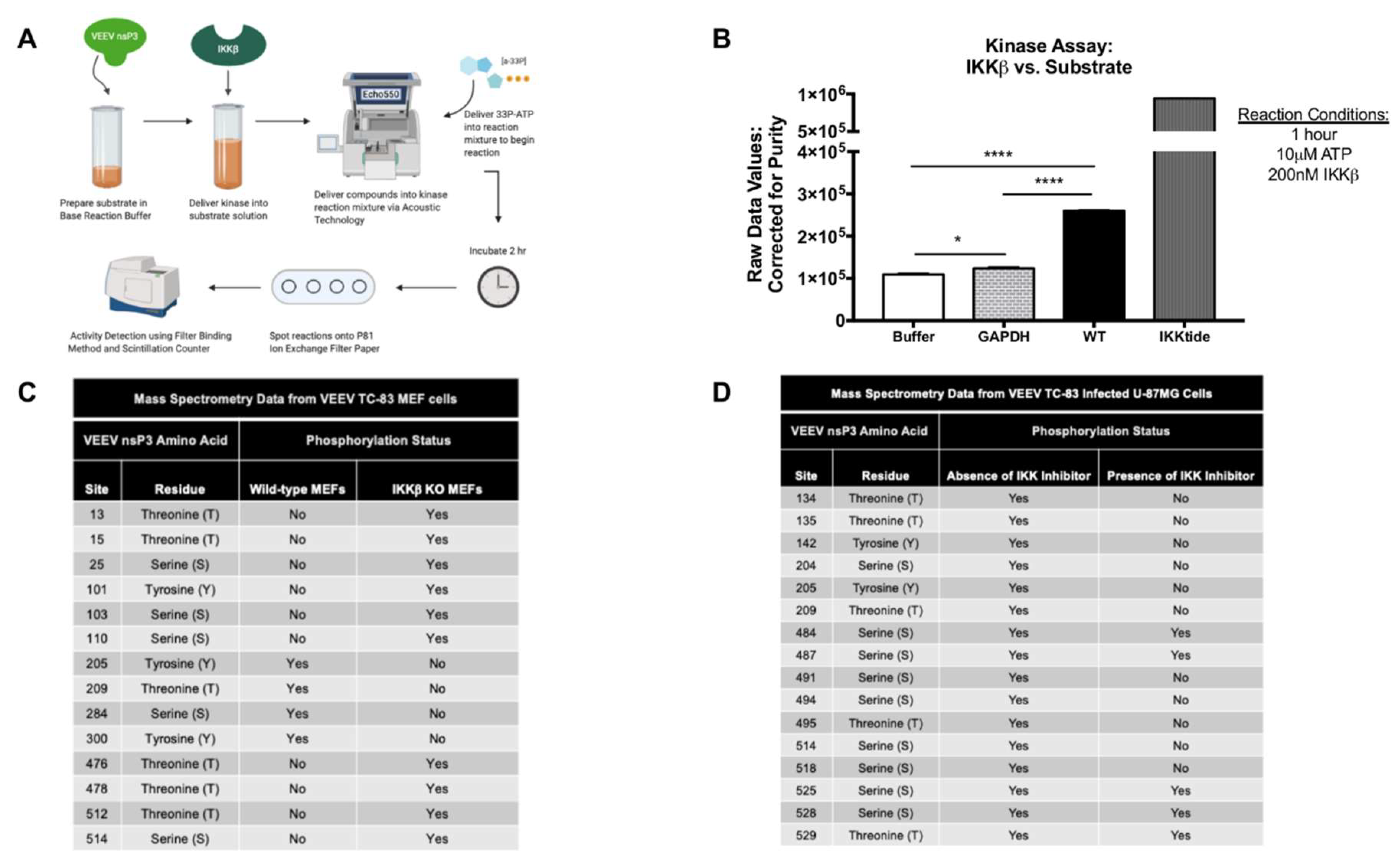 Viruses 12 01021 g002