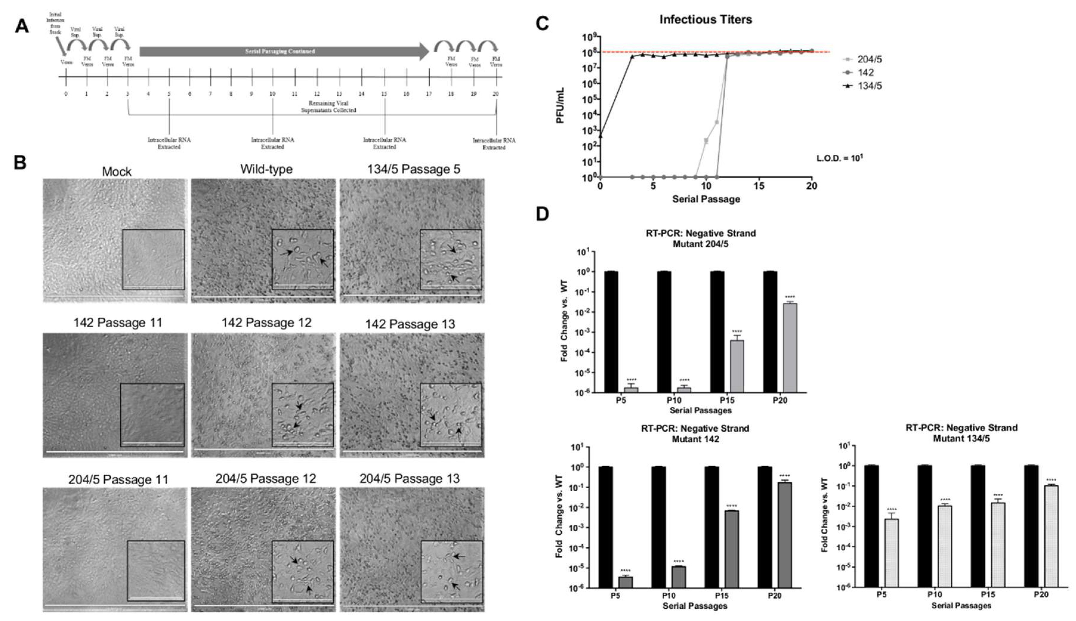 Viruses 12 01021 g005
