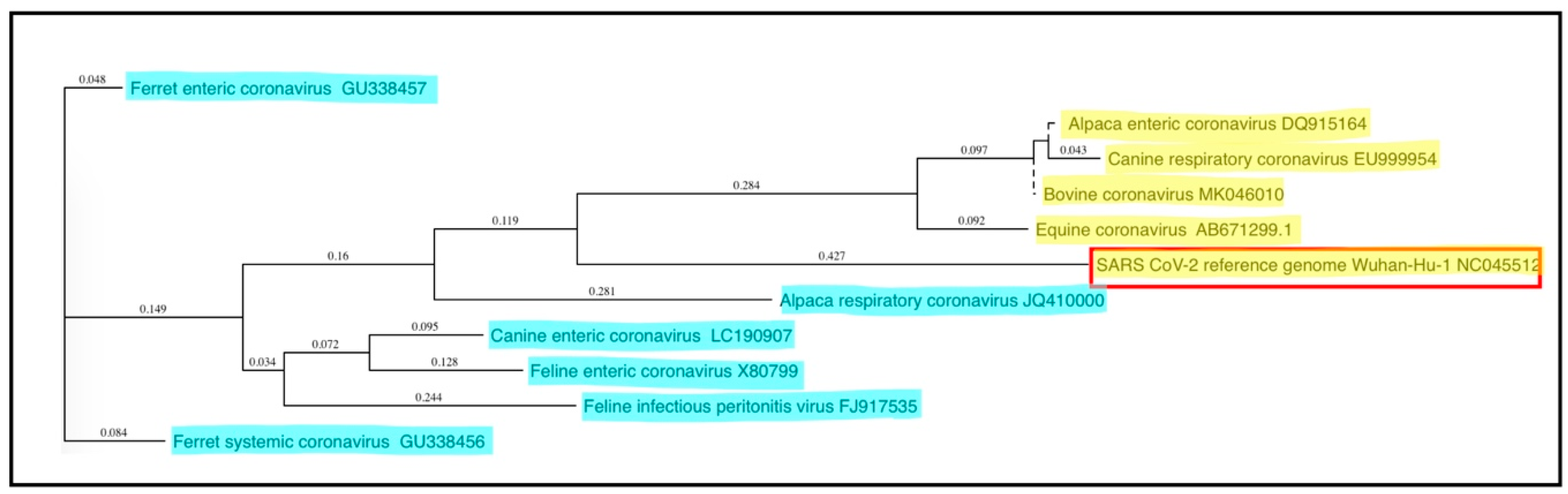 Viruses 12 01023 g001 Viruses 12 01023 g001