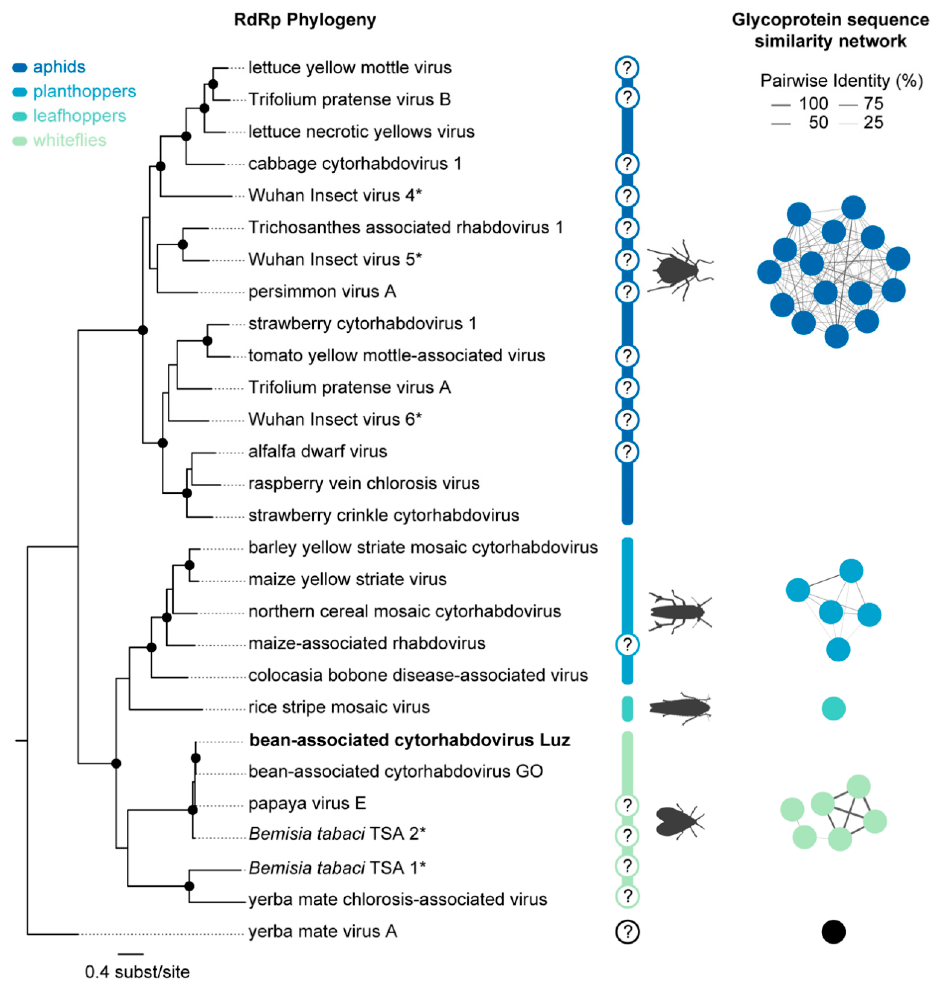Viruses 12 01028 g006
