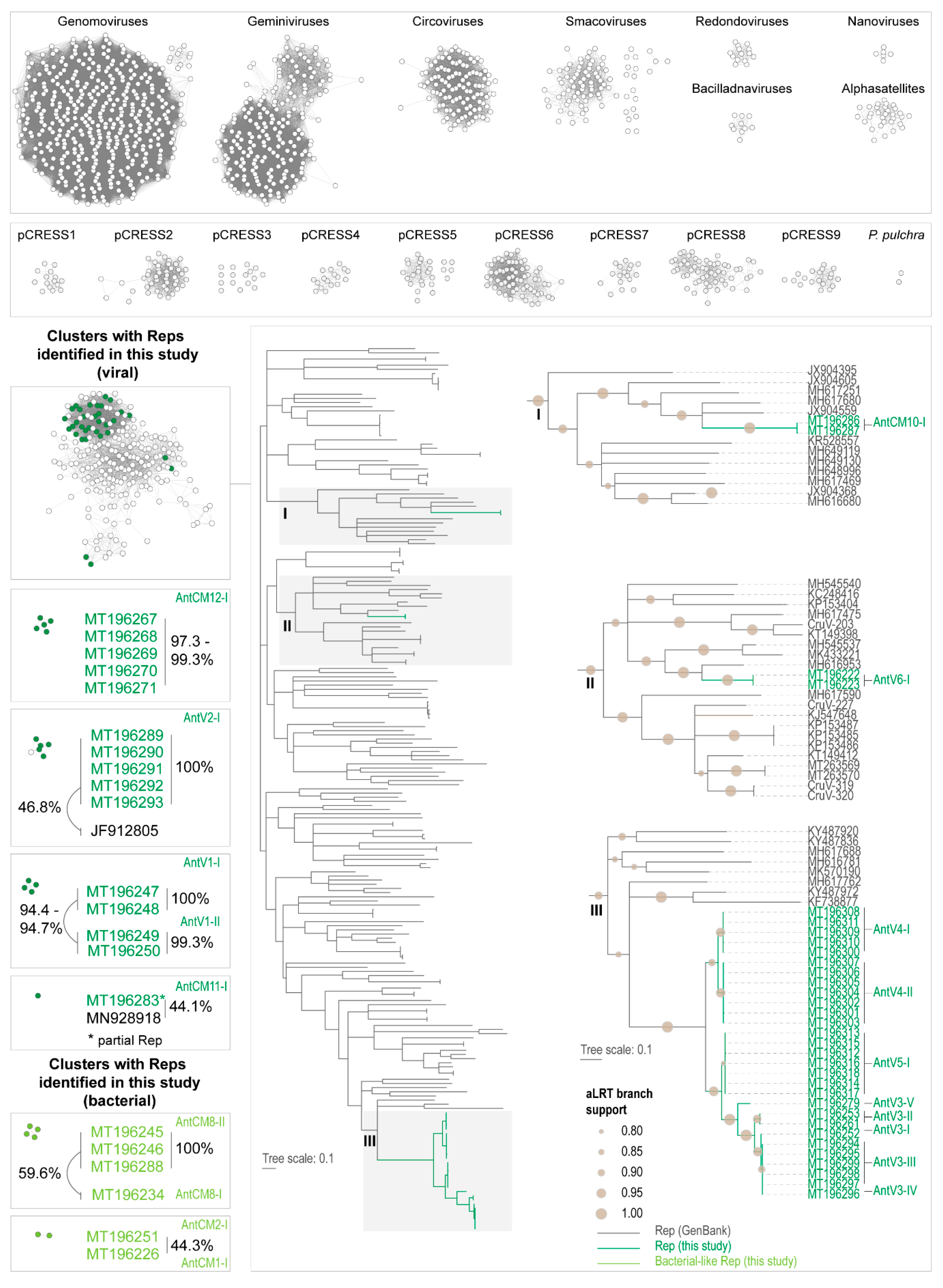 Viruses 12 01029 g003 Viruses 12 01029 g003