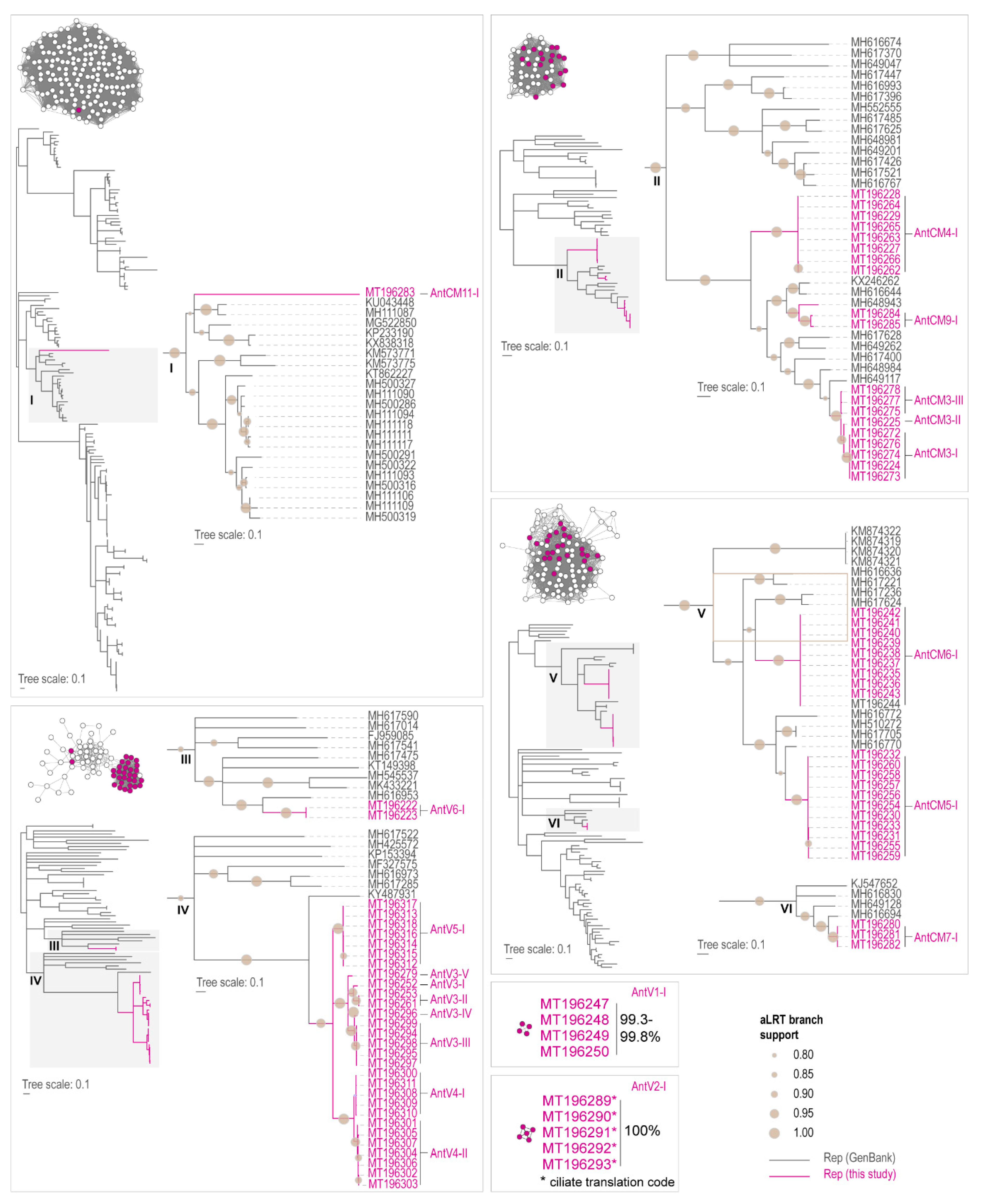 Viruses 12 01029 g004 Viruses 12 01029 g004