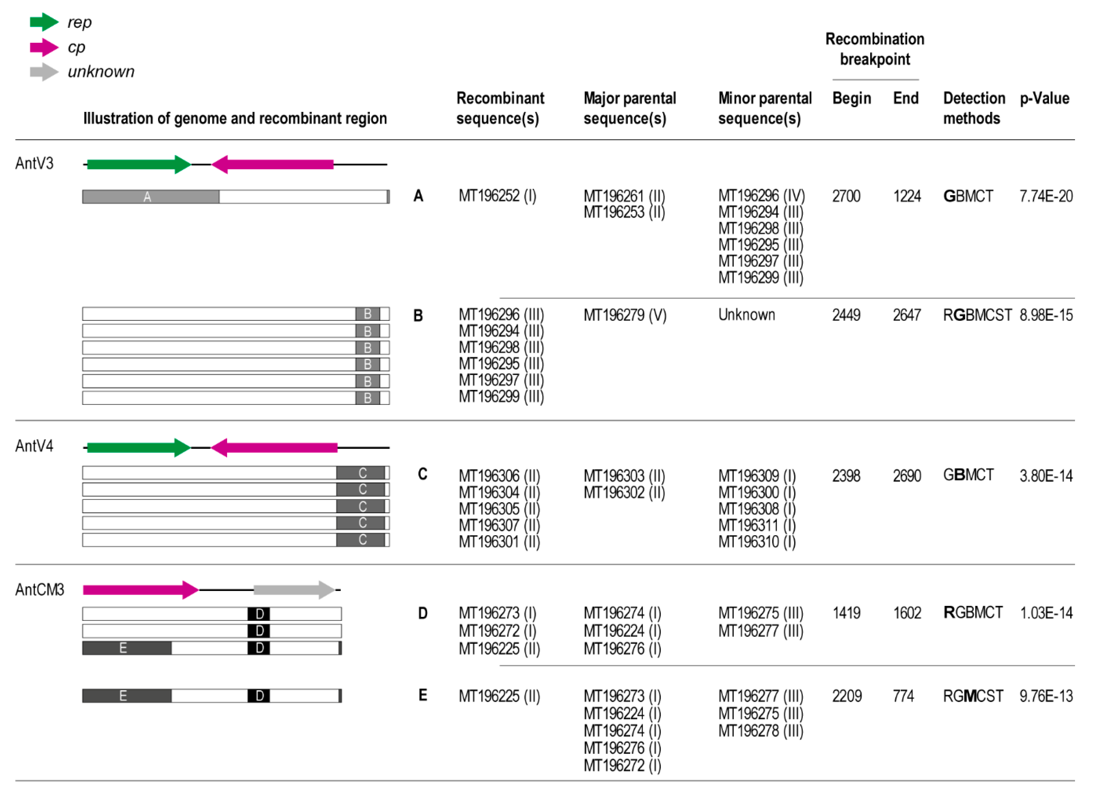 Viruses 12 01029 g005 Viruses 12 01029 g005
