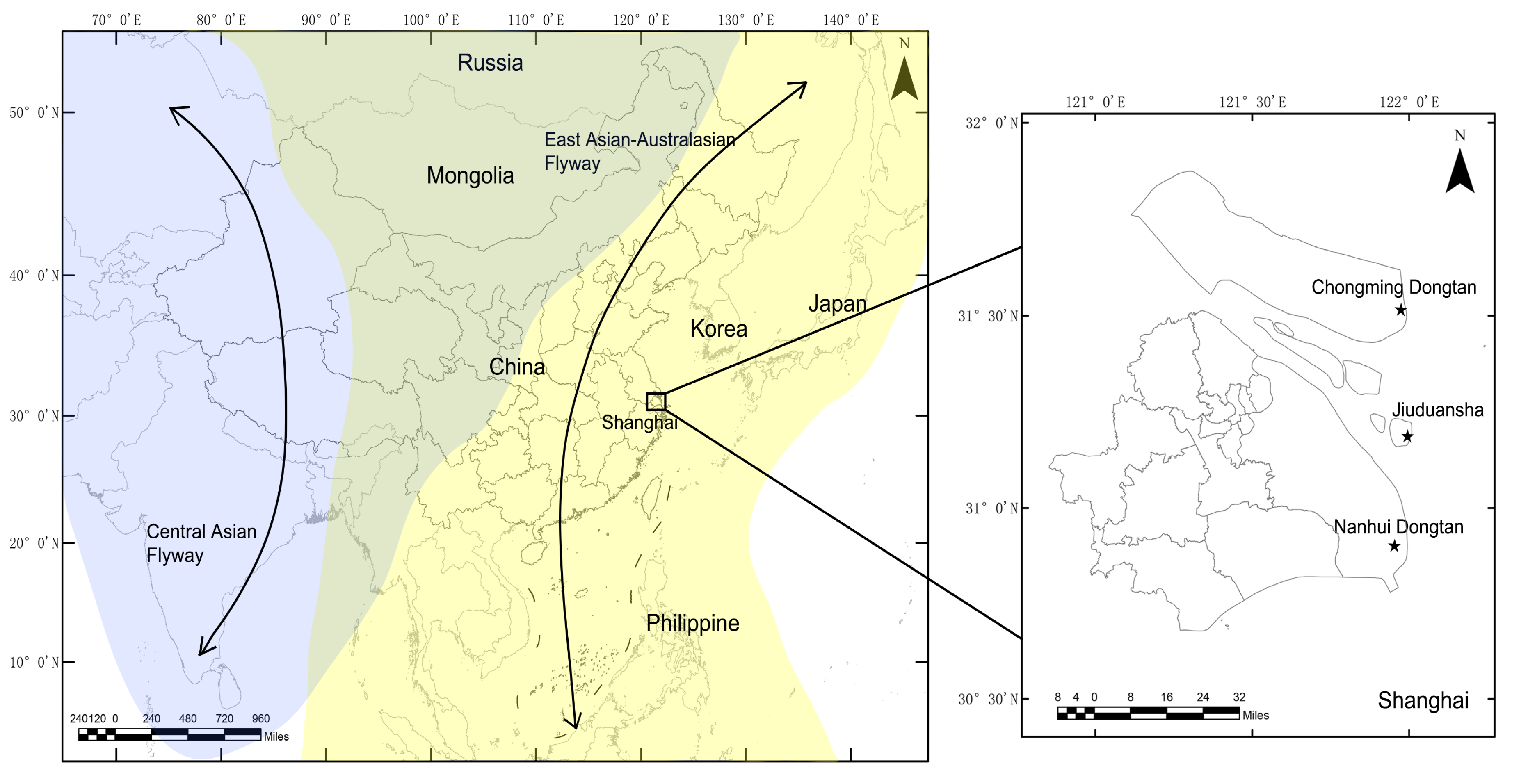 Viruses 12 01031 g001 Viruses 12 01031 g001