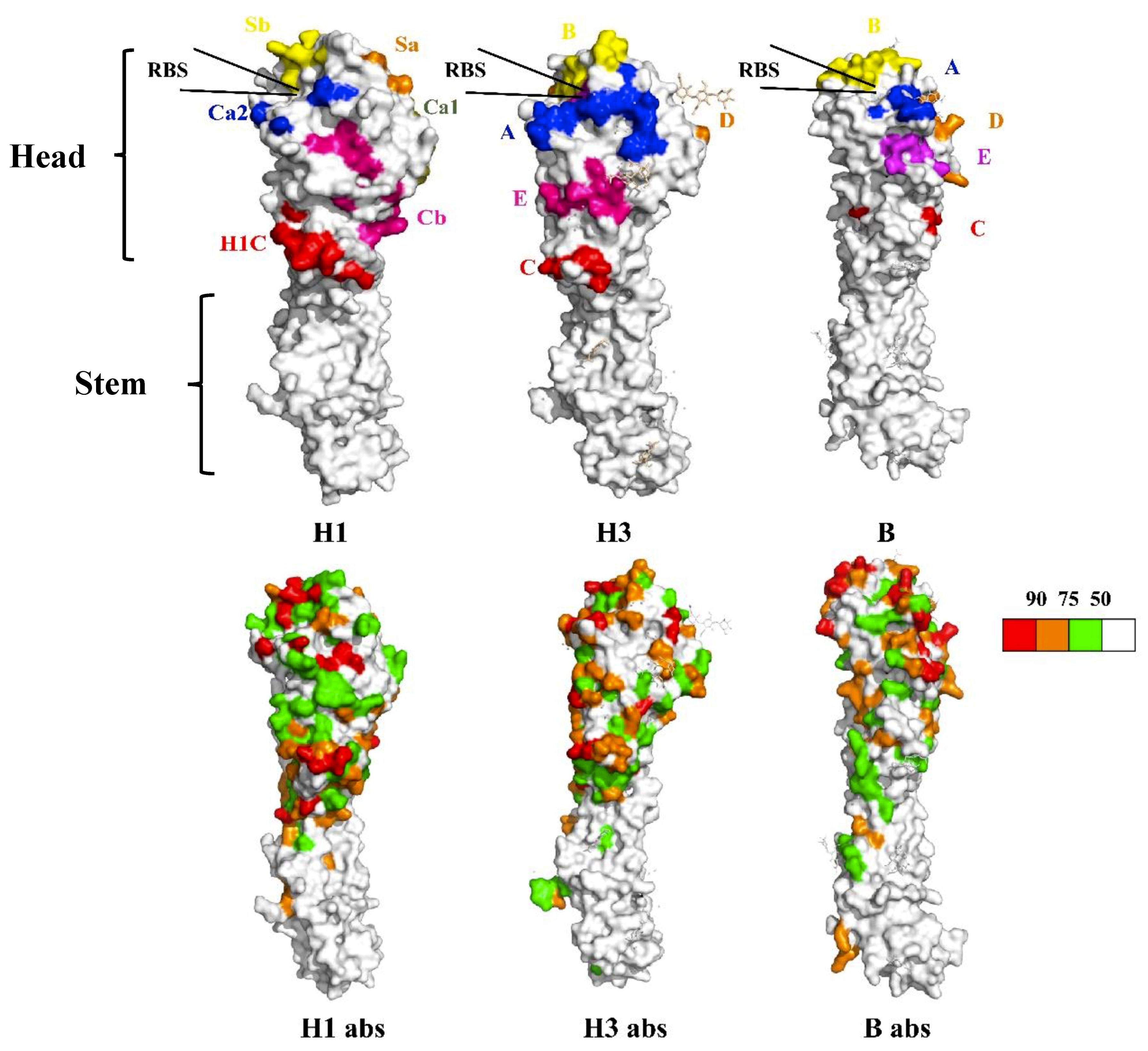 Viruses 12 01033 g001 Viruses 12 01033 g001