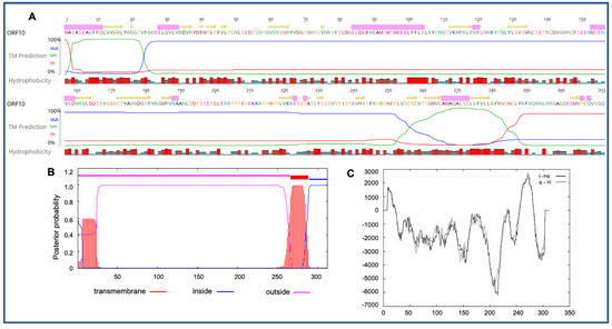 Viruses 12 01036 g002 550