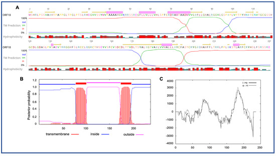 Viruses 12 01036 g003 550