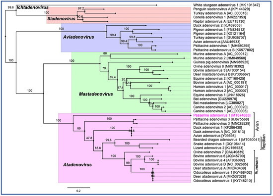 Viruses 12 01036 g004 550