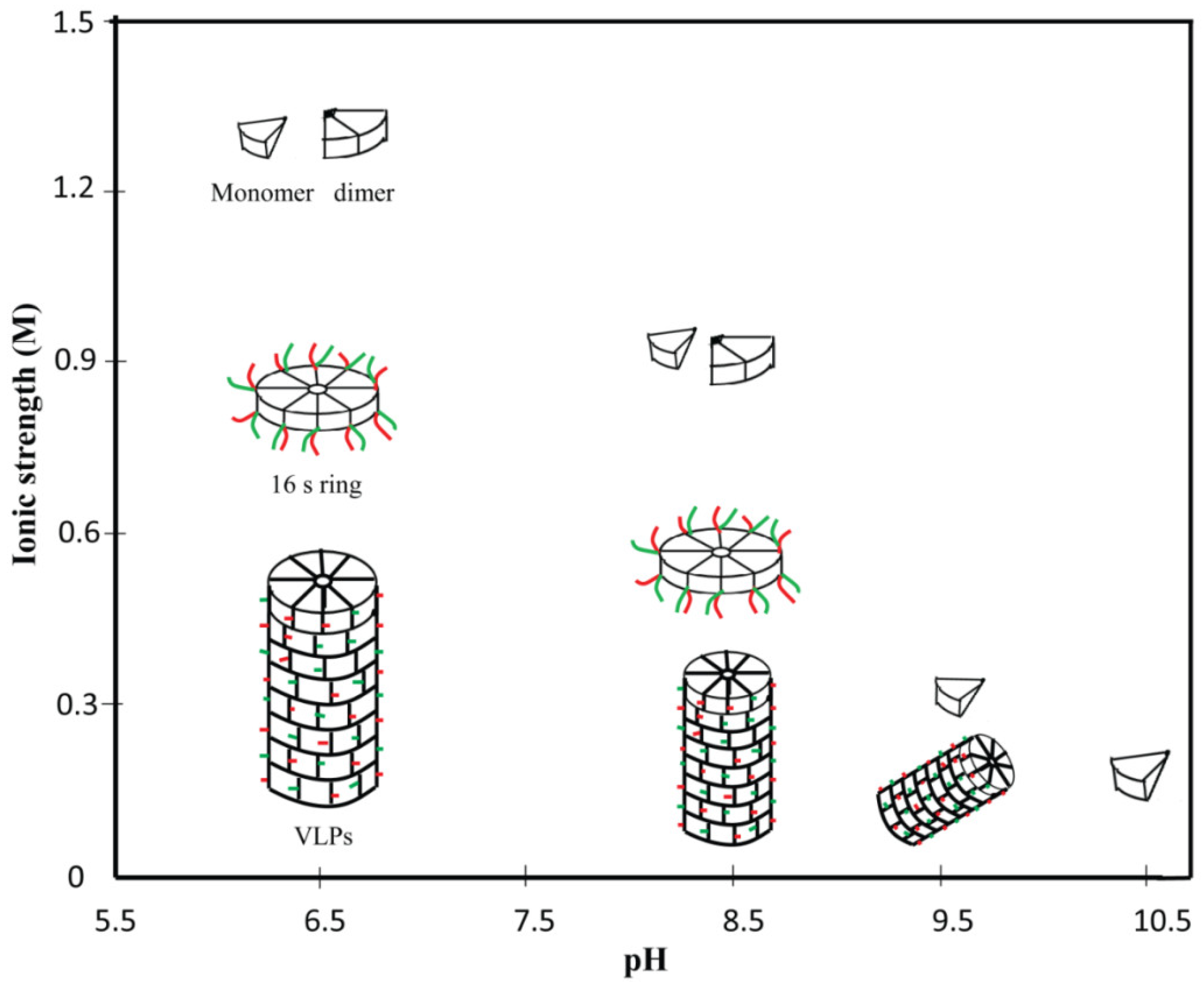 Viruses 12 01037 g002 Viruses 12 01037 g002