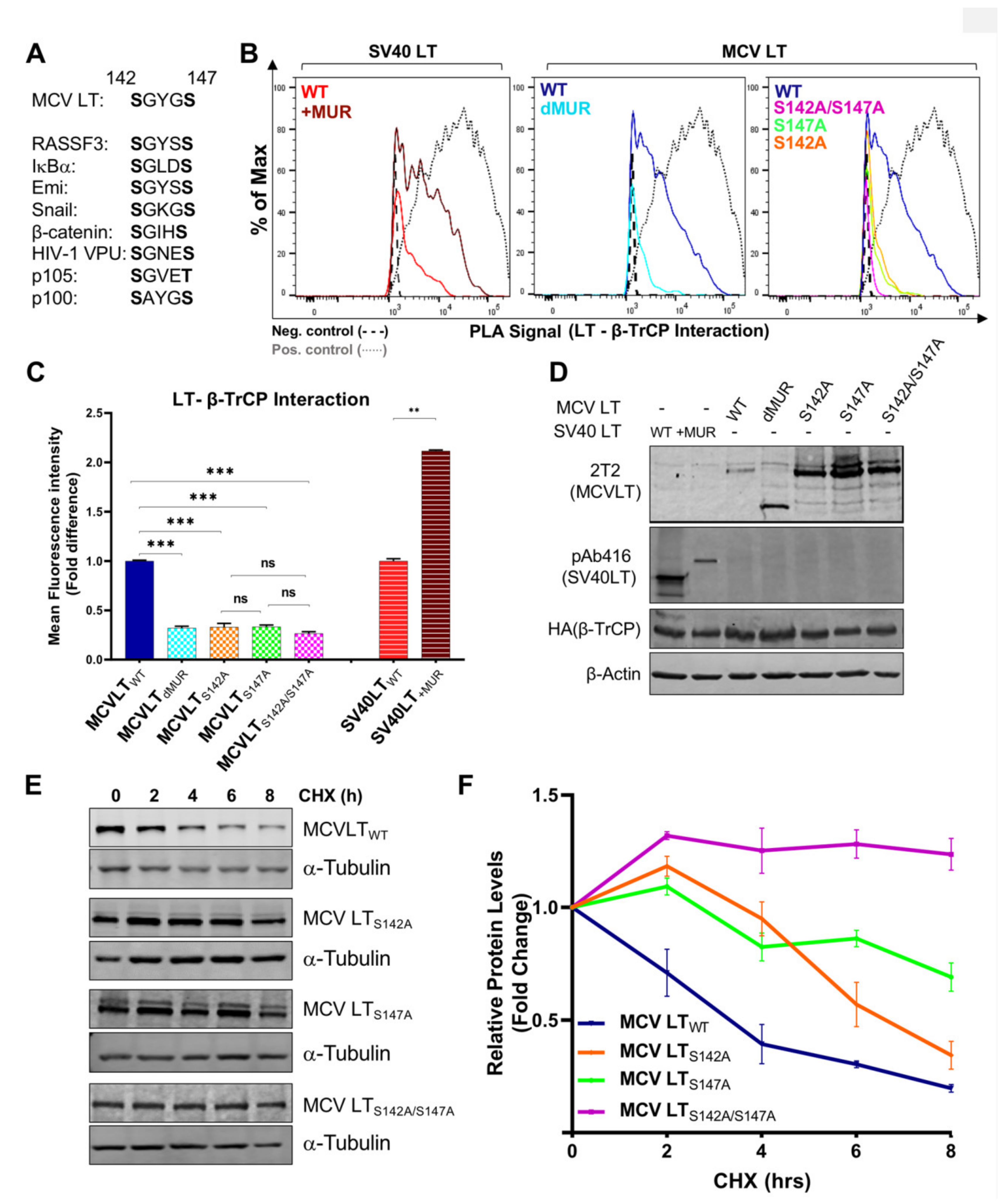 Viruses 12 01043 g006 Viruses 12 01043 g006