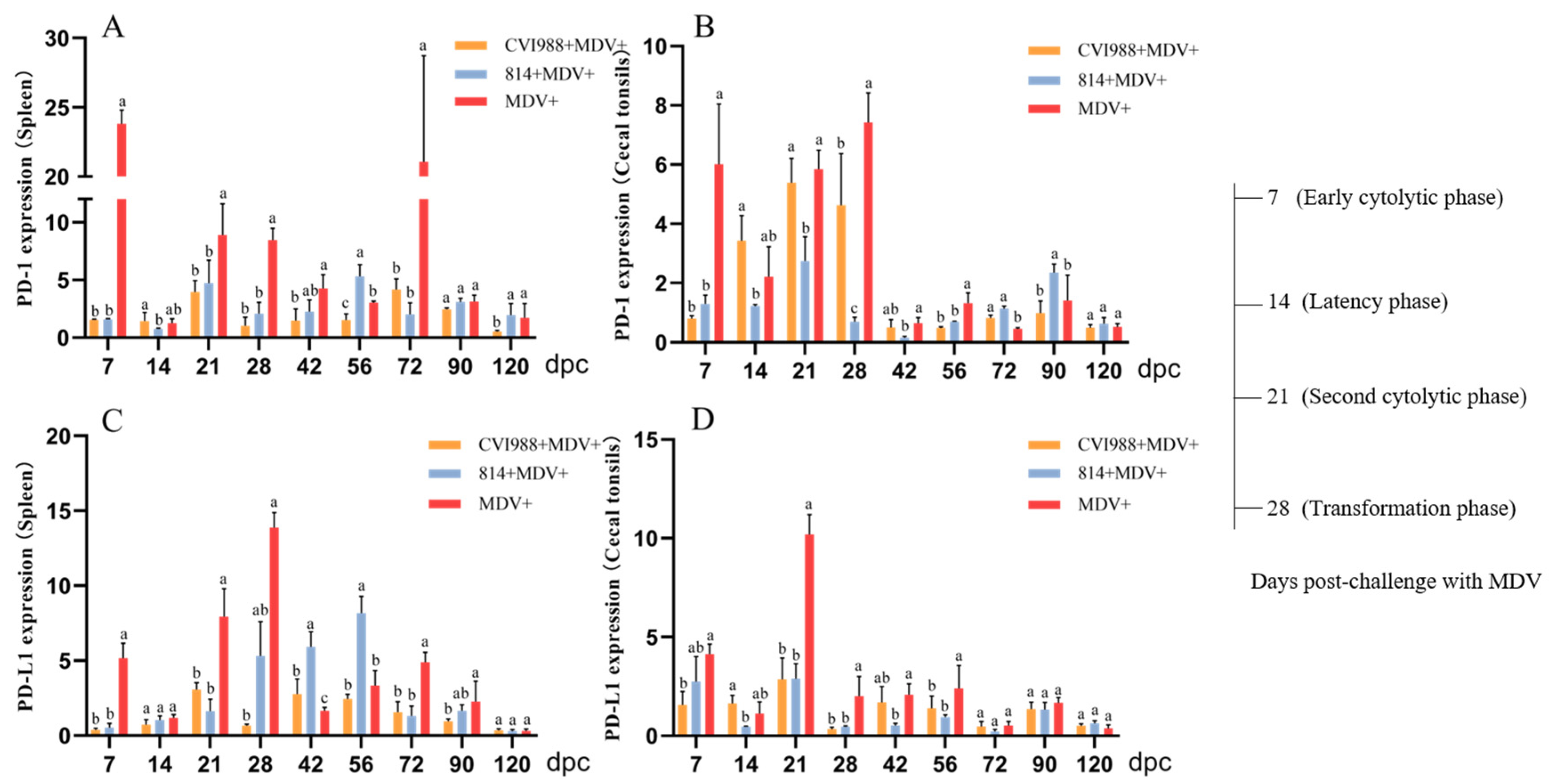 Viruses 12 01048 g004
